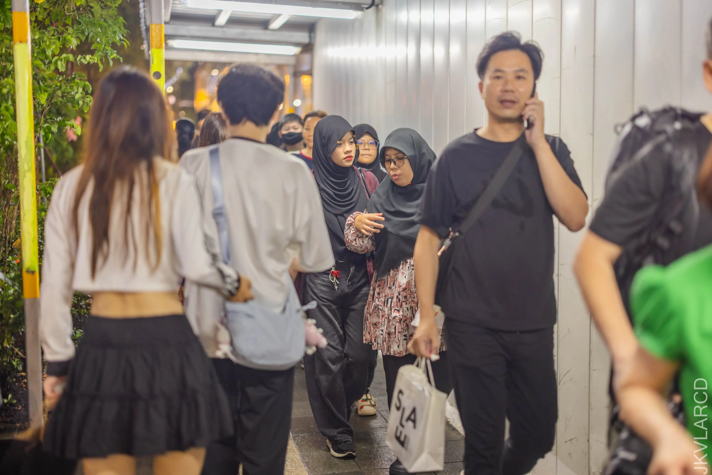 EOS R5_2025_12_13_0119.jpg