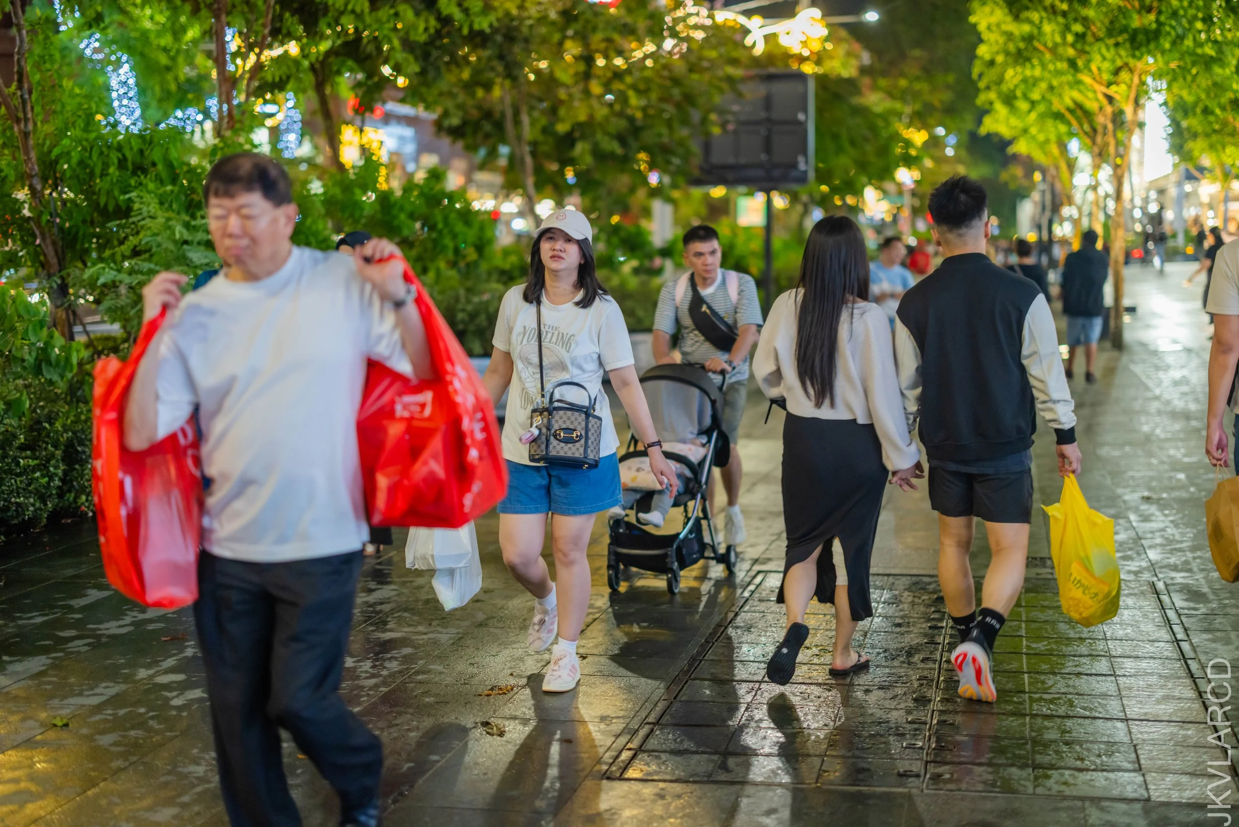 EOS R5_2025_12_13_0122.jpg