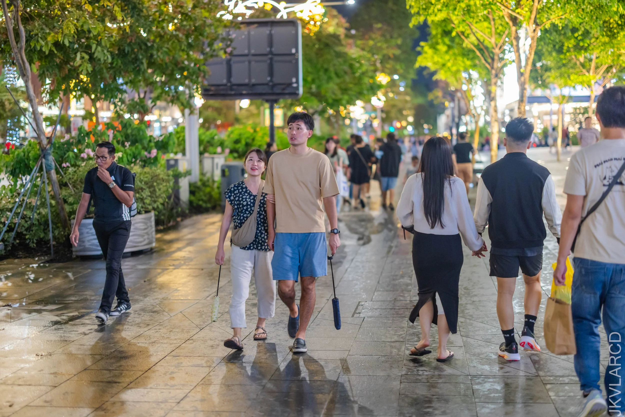 EOS R5_2025_12_13_0123.jpg