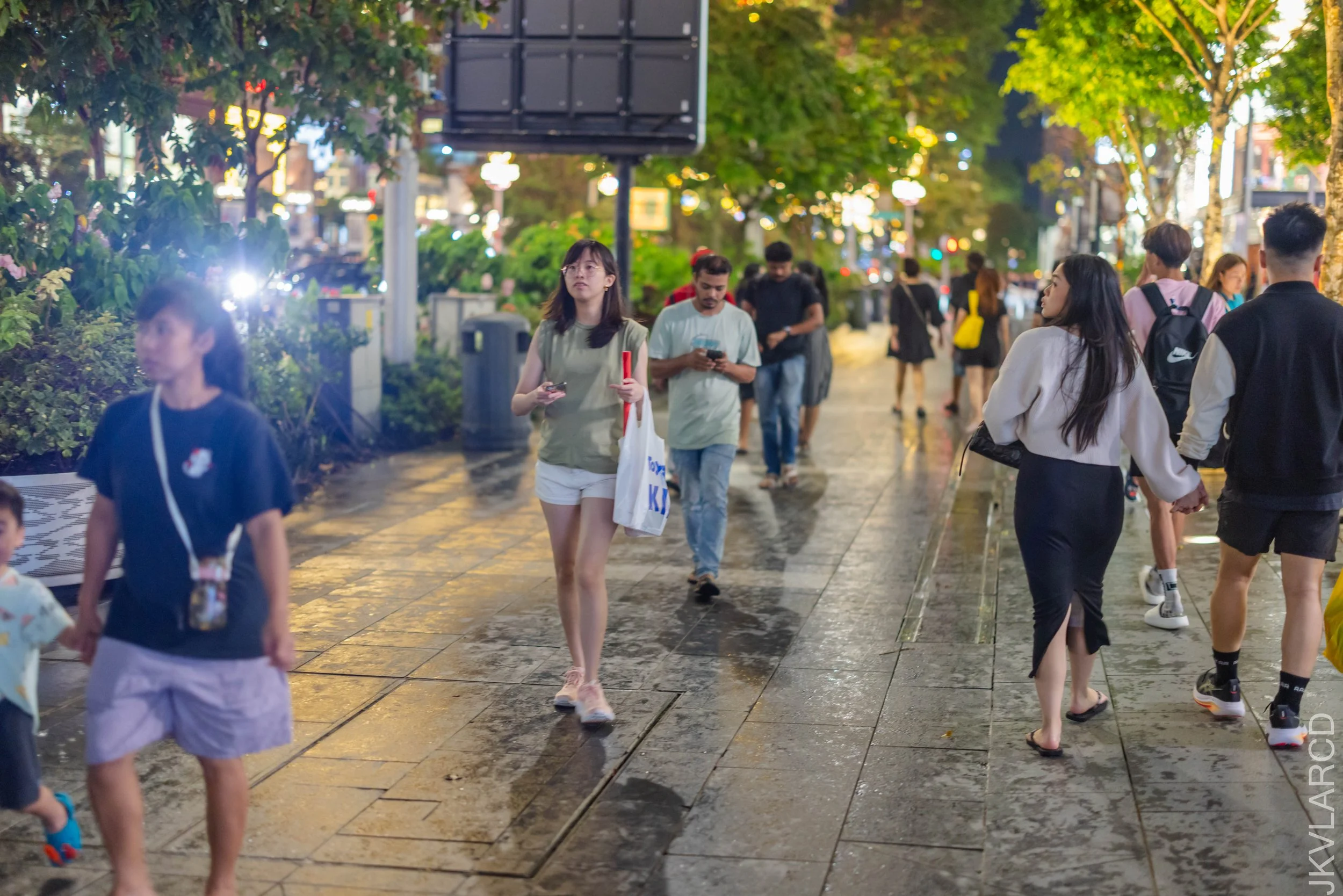 EOS R5_2025_12_13_0124.jpg