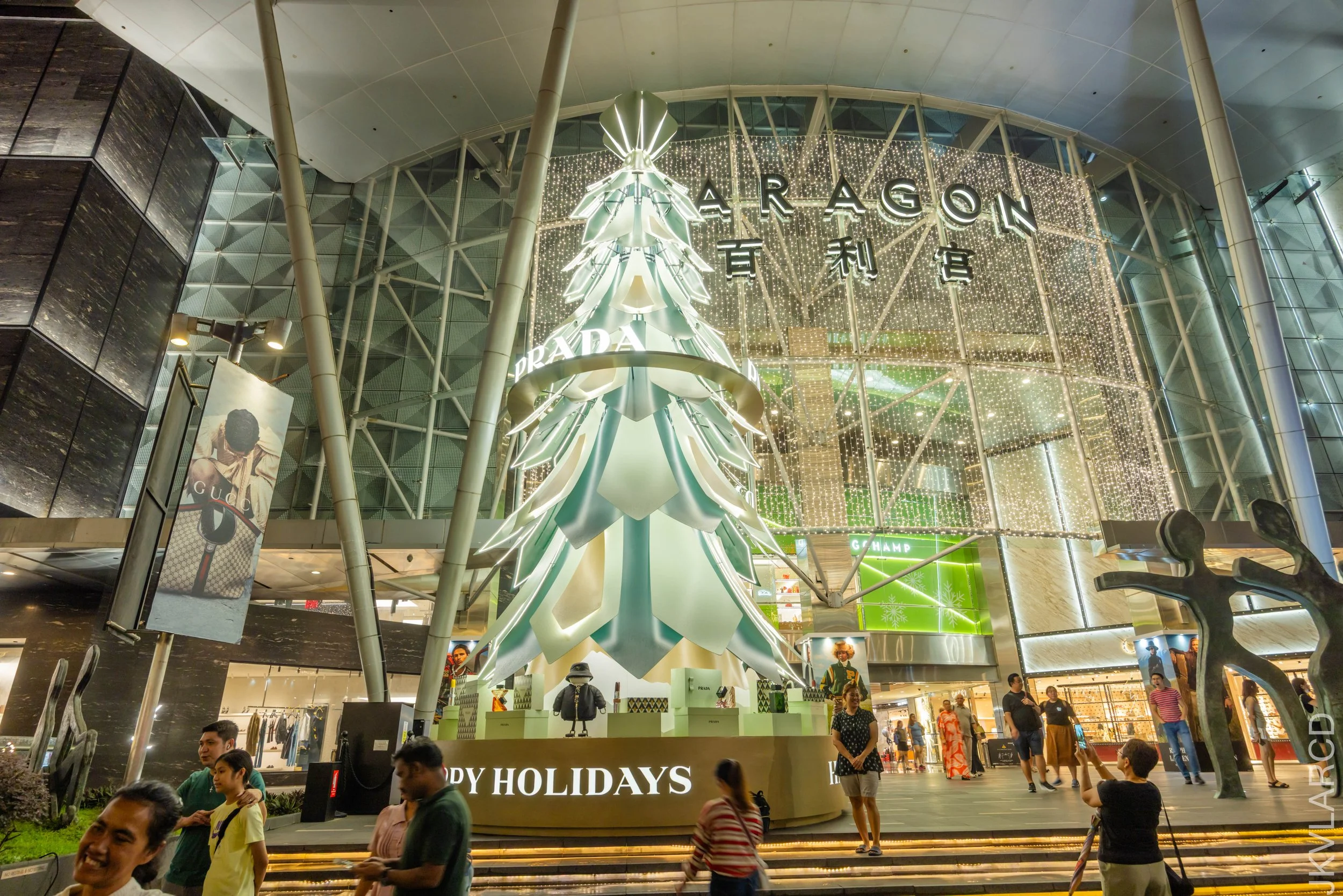 EOS R5_2025_12_13_0131.jpg