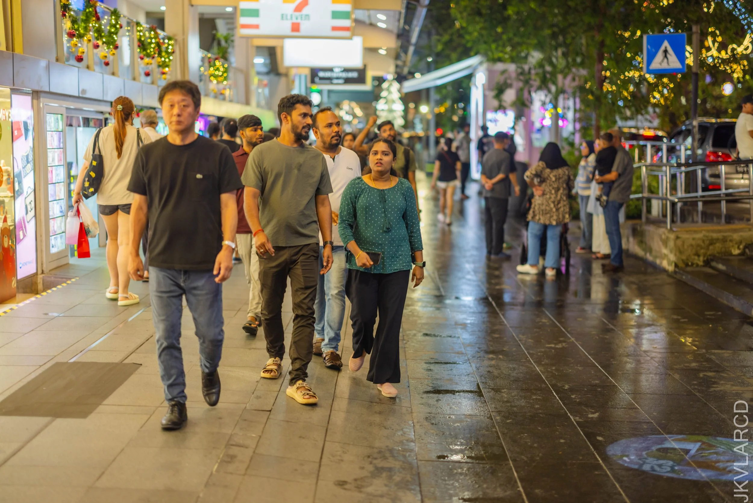 EOS R5_2025_12_13_0150.jpg