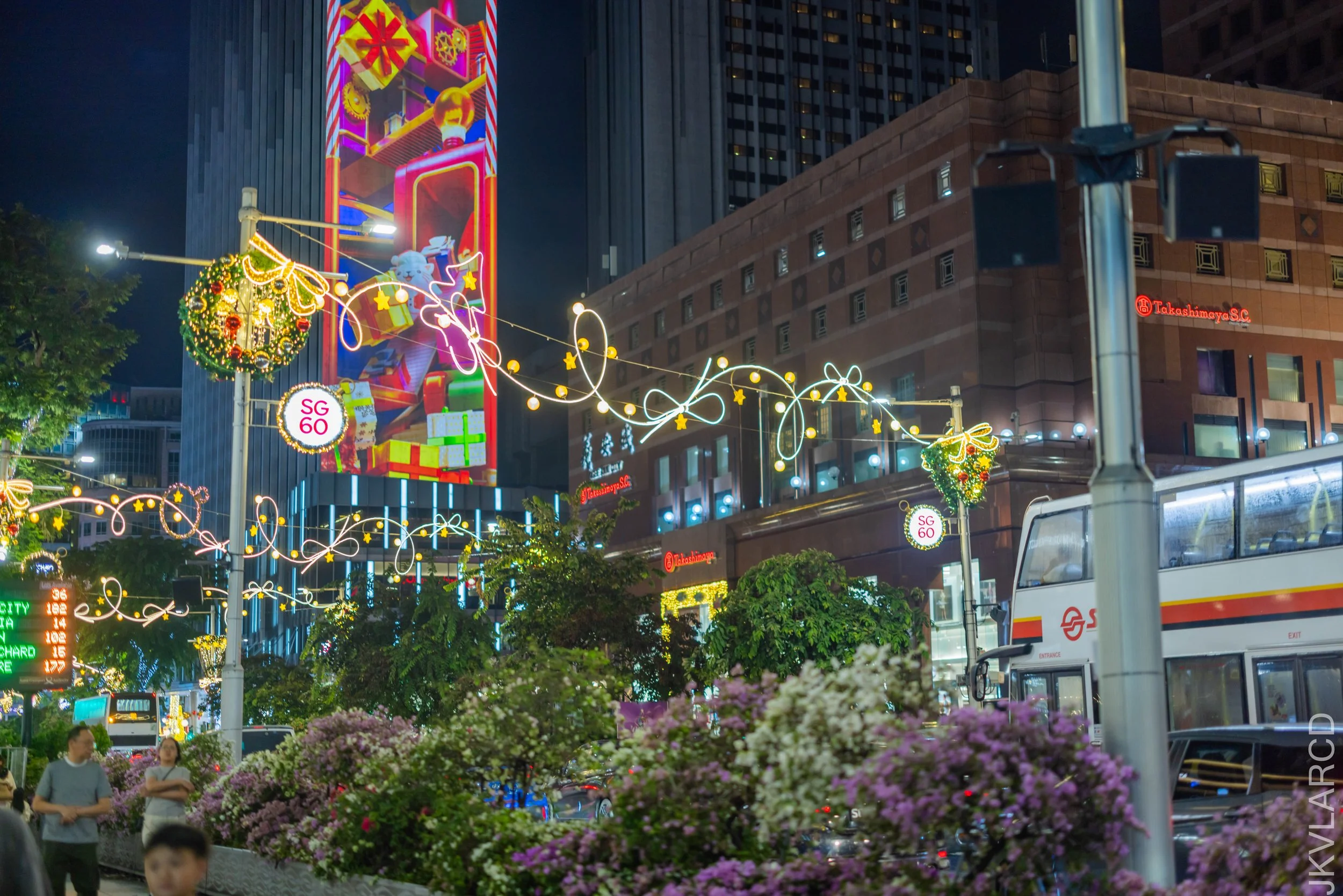 EOS R5_2025_12_13_0152.jpg