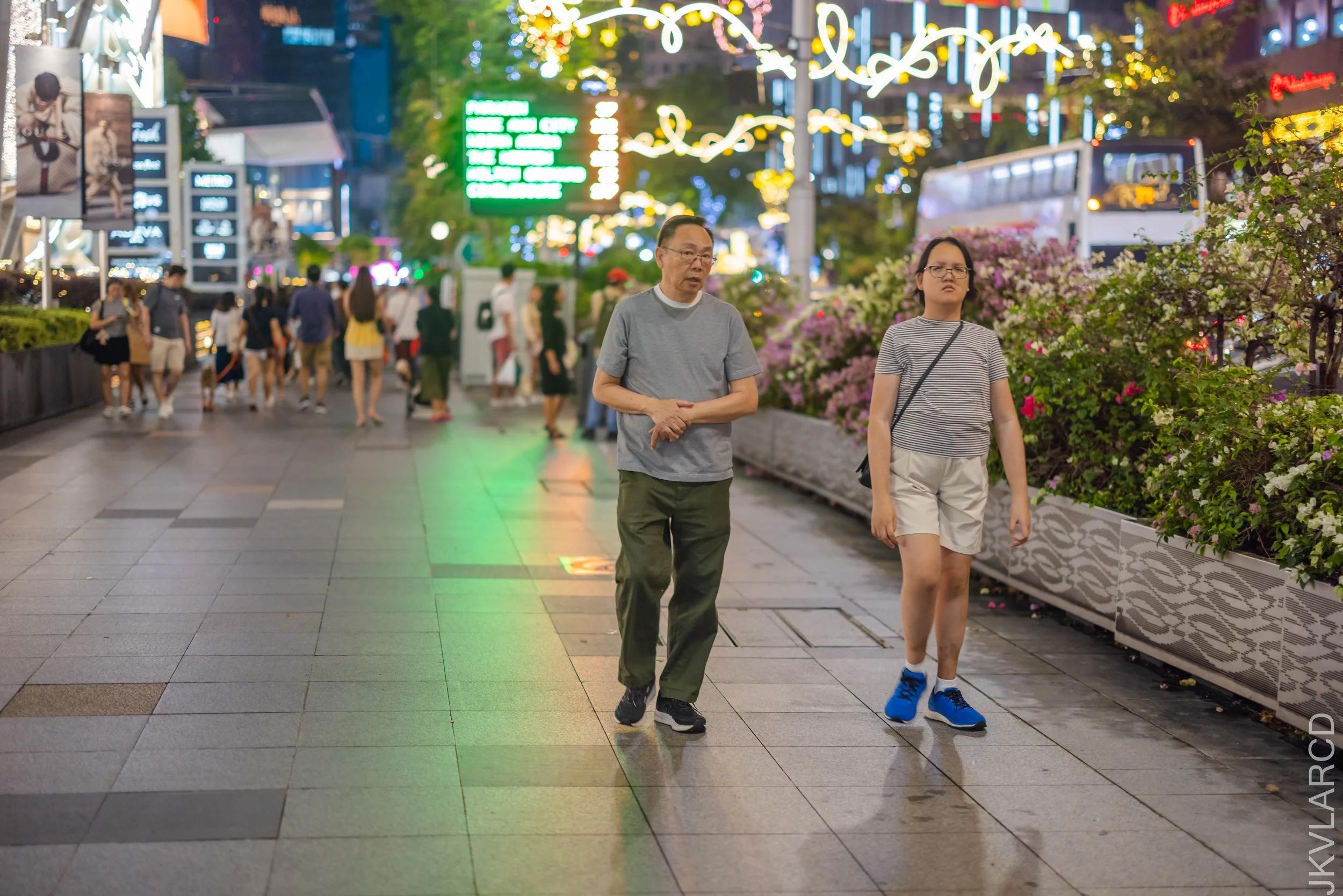 EOS R5_2025_12_13_0153.jpg