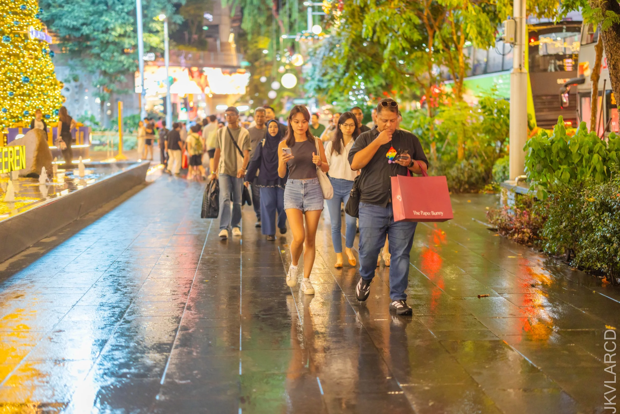 EOS R5_2025_12_13_0165.jpg