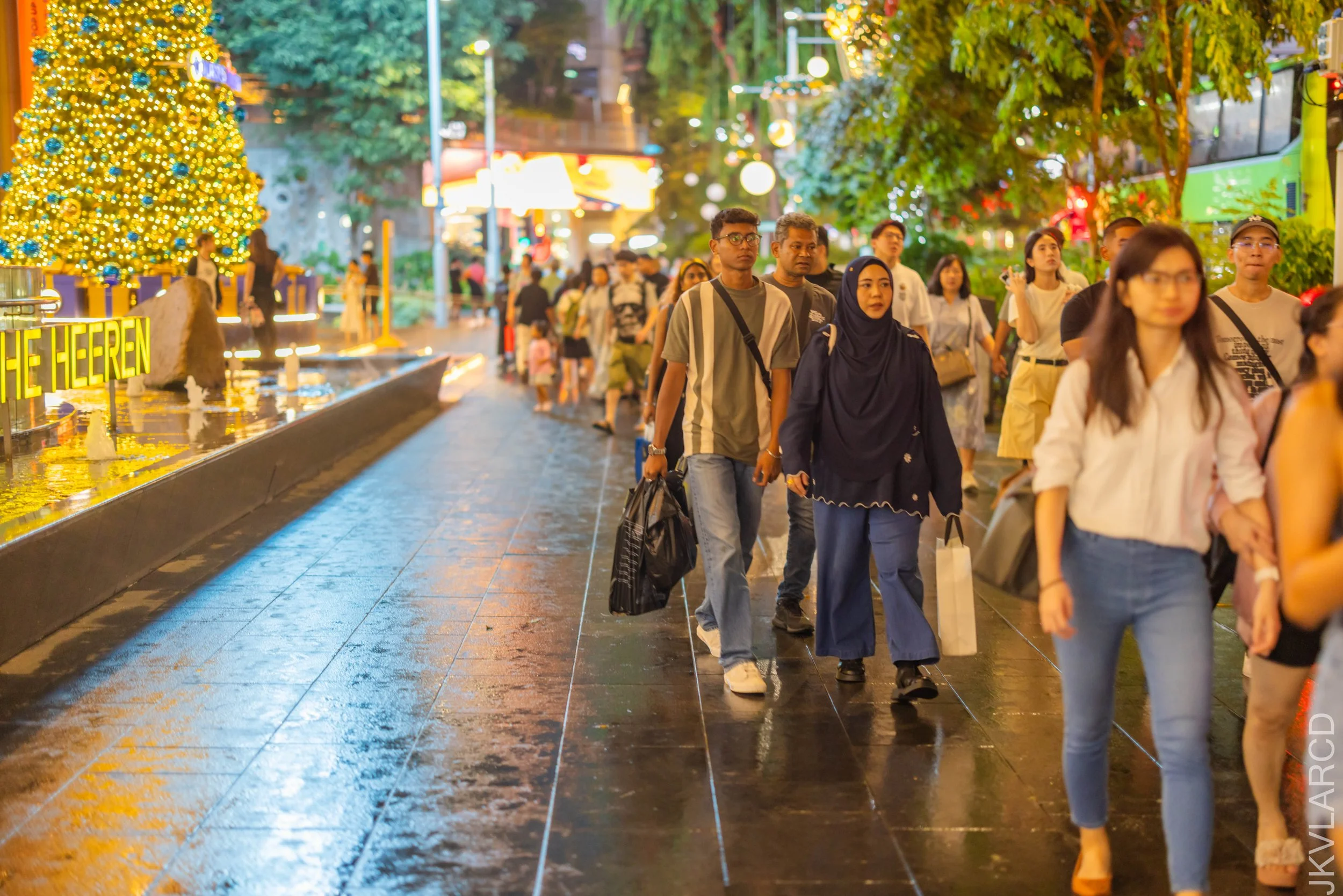 EOS R5_2025_12_13_0166.jpg