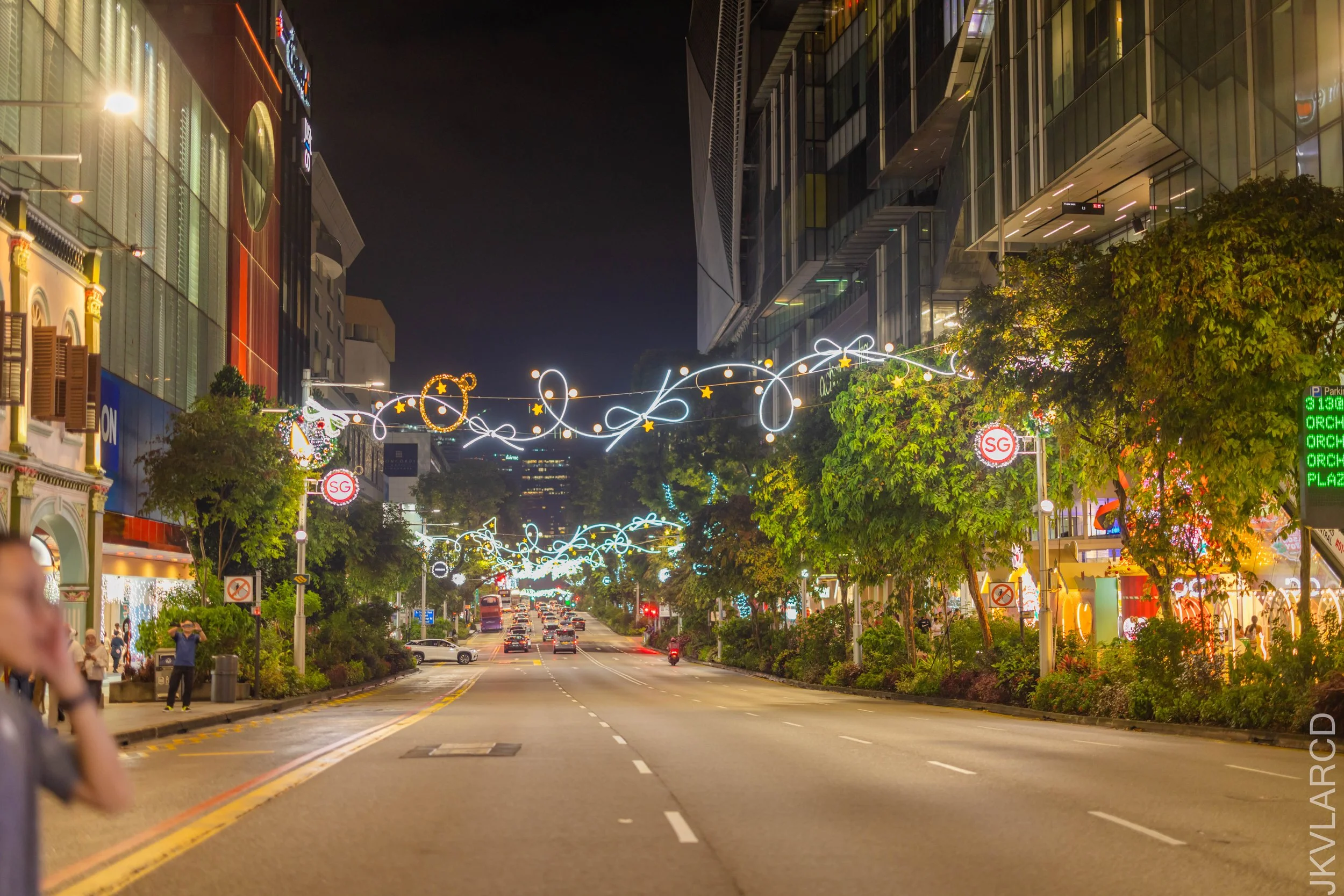 EOS R5_2025_12_13_0176.jpg