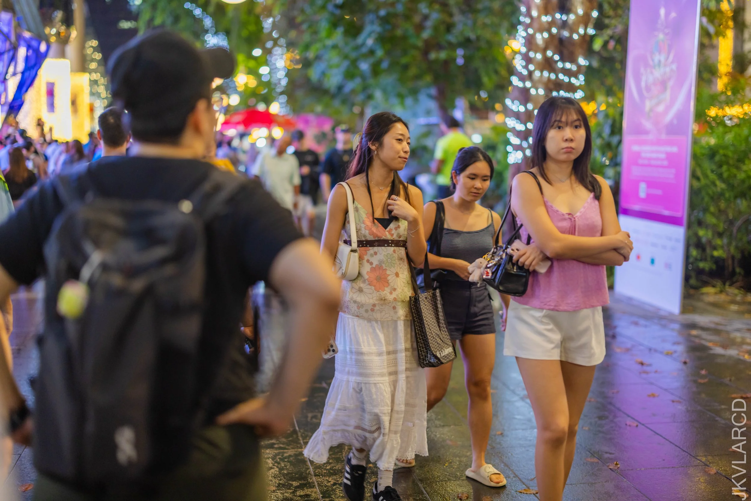 EOS R5_2025_12_13_0202.jpg