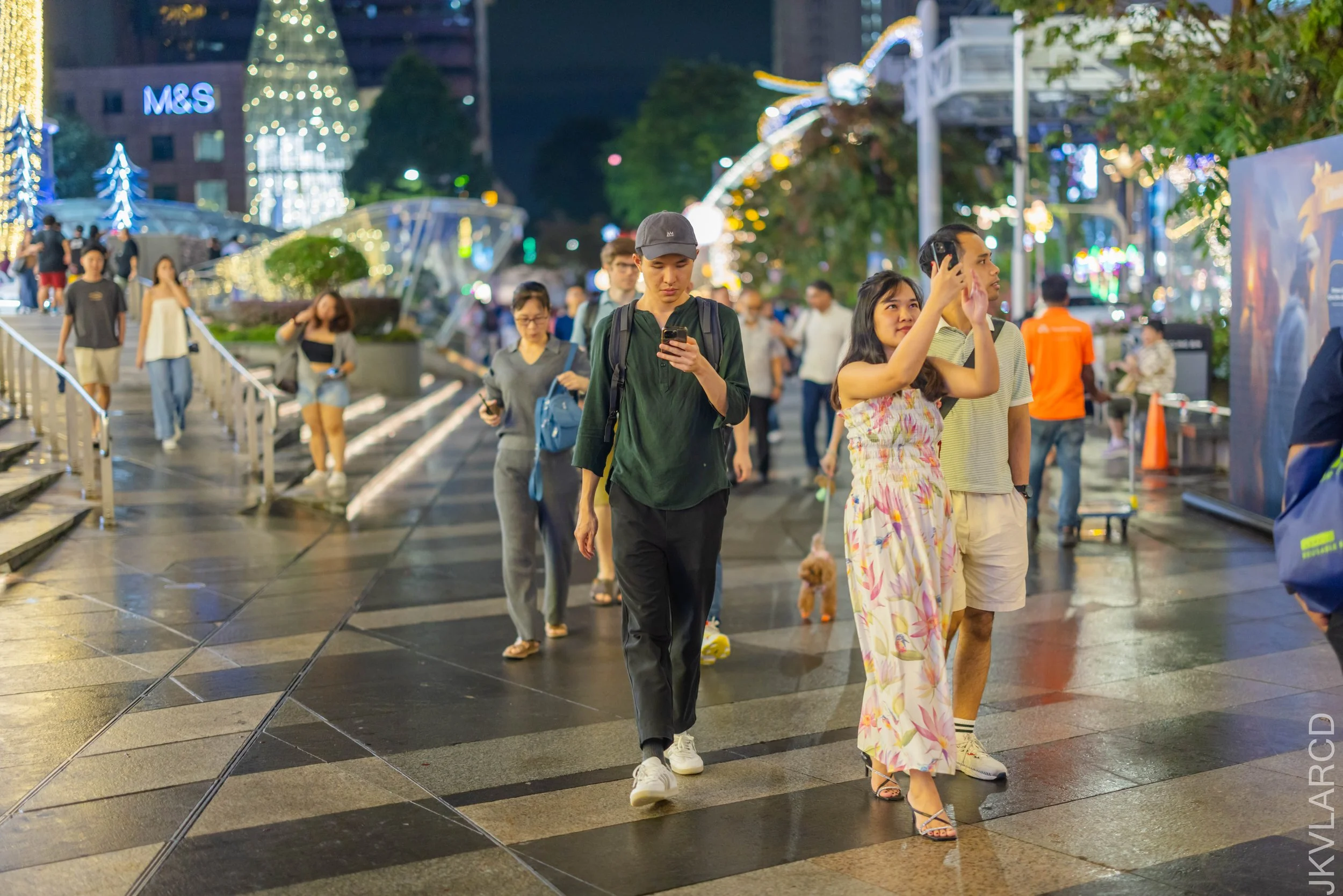 EOS R5_2025_12_13_0203.jpg