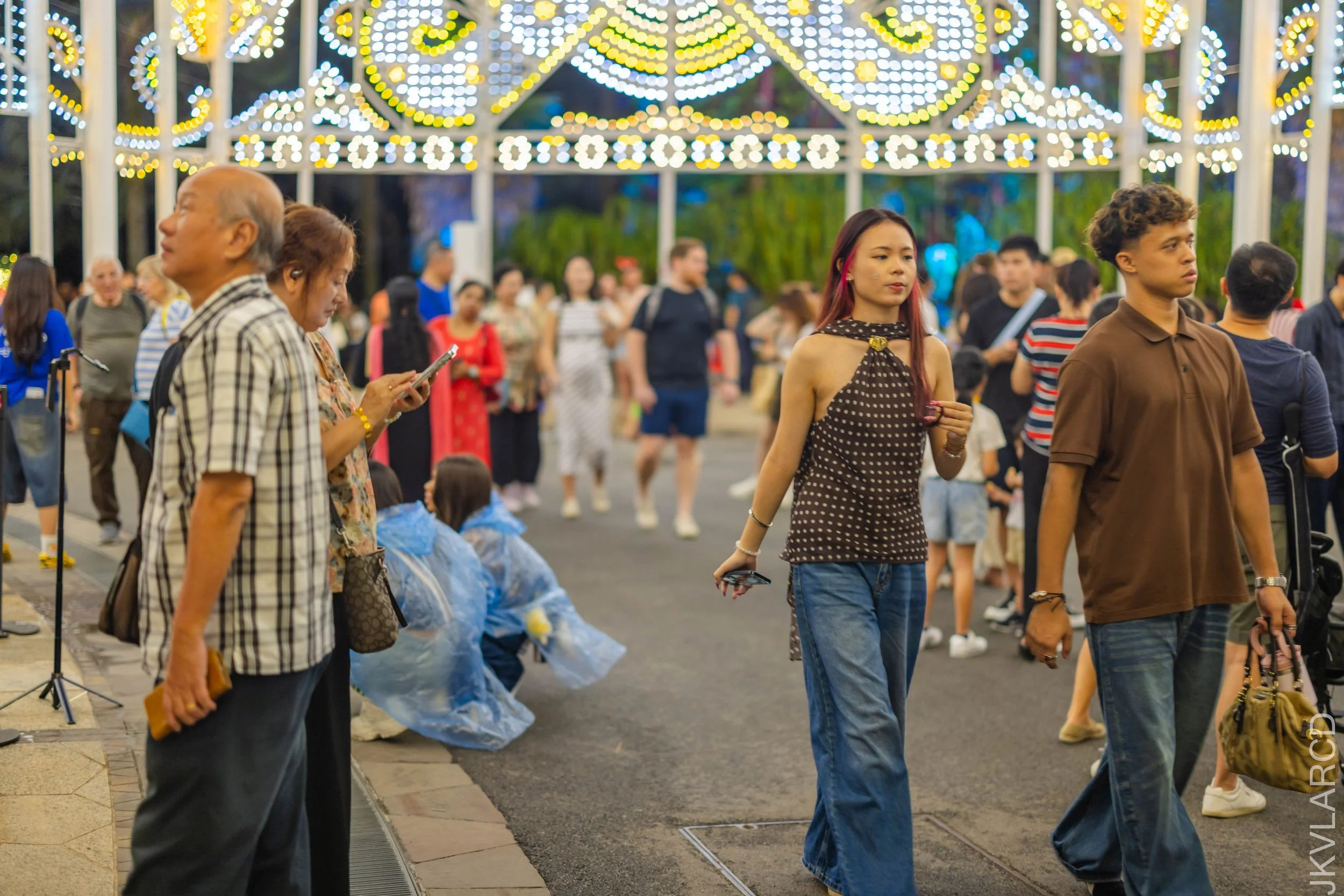 EOS R5_2025_12_19_0009.jpg