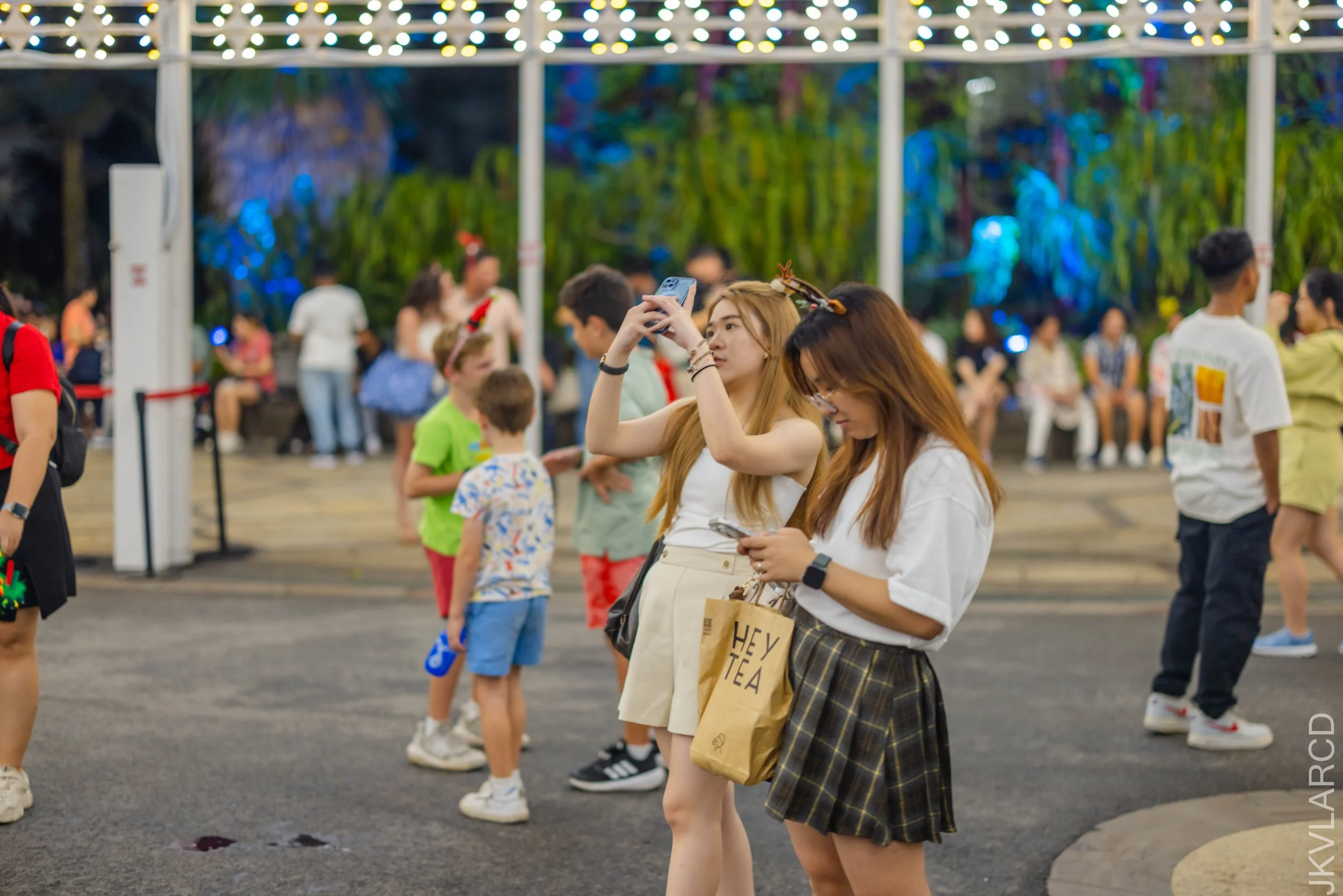 EOS R5_2025_12_19_0011.jpg