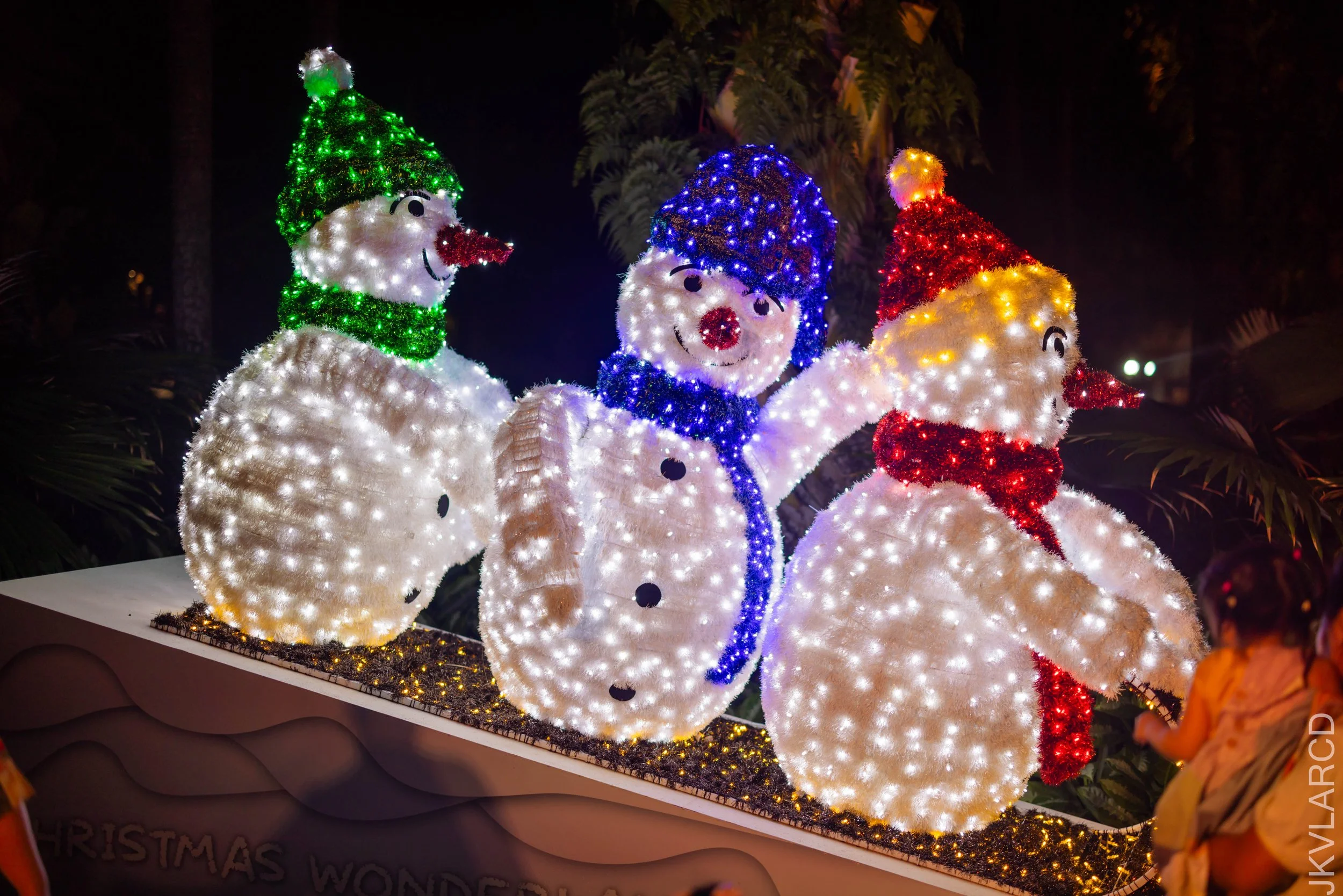 EOS R5_2025_12_19_0014.jpg