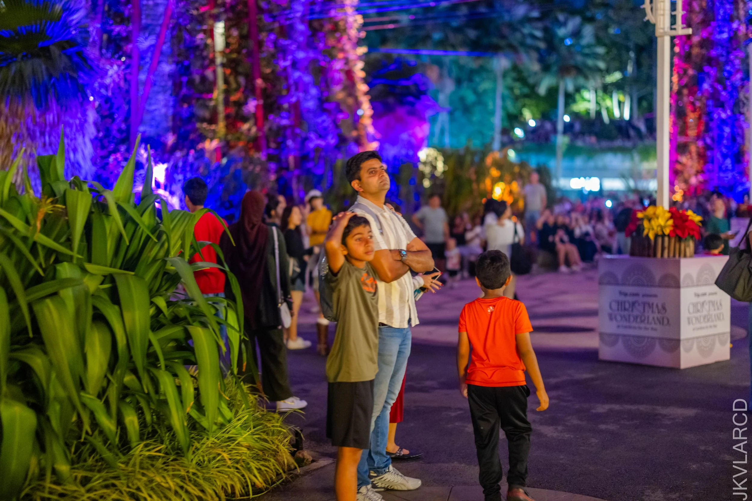 EOS R5_2025_12_19_0023.jpg