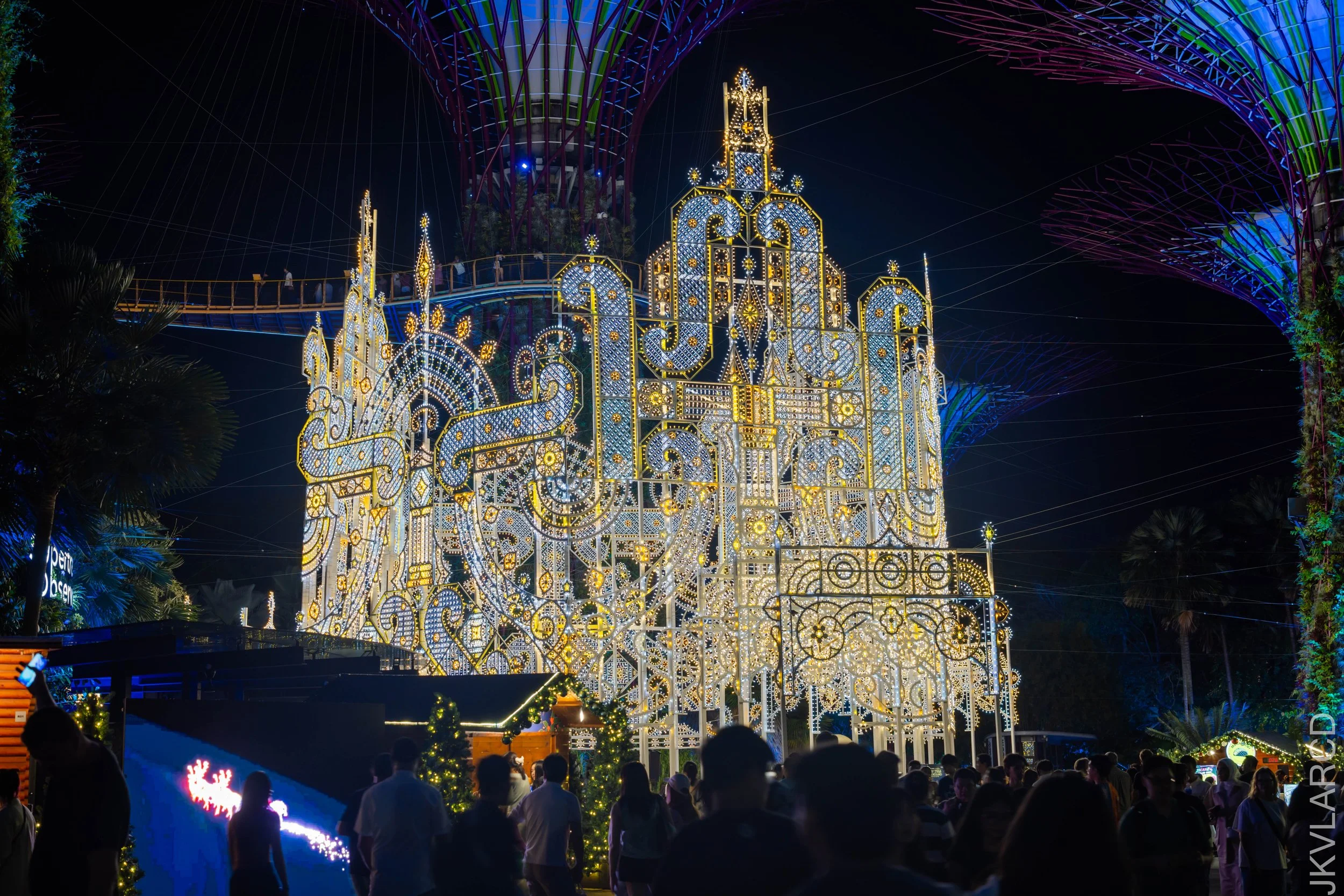 EOS R5_2025_12_19_0001.jpg