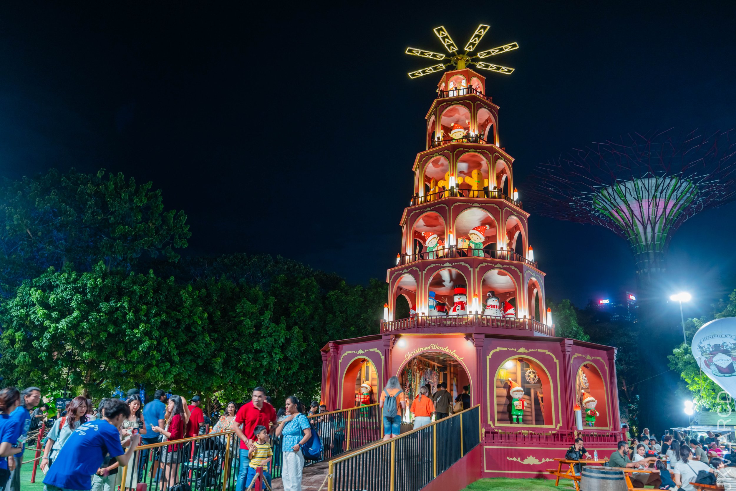 EOS R5_2025_12_19_0036.jpg