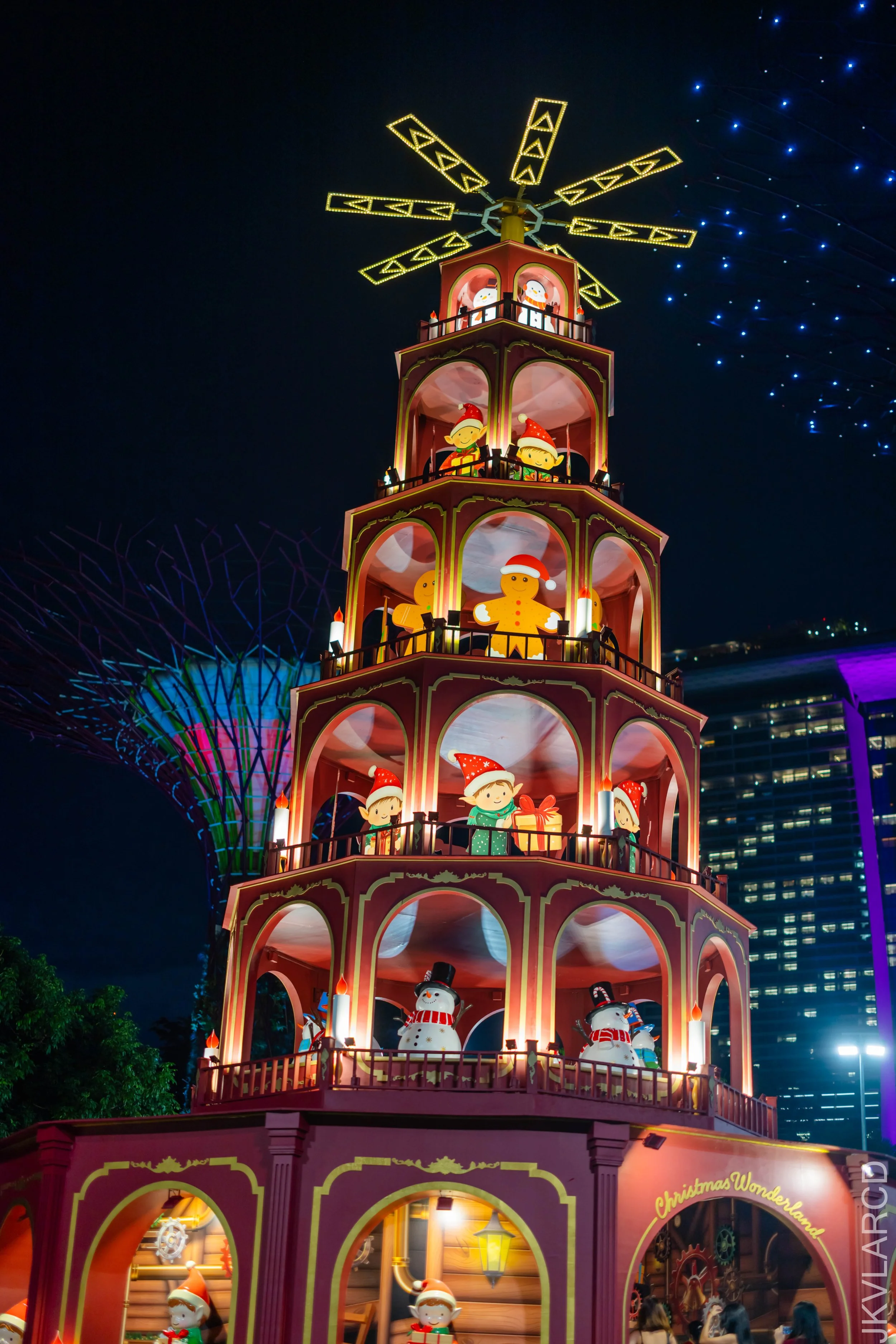 EOS R5_2025_12_19_0037.jpg