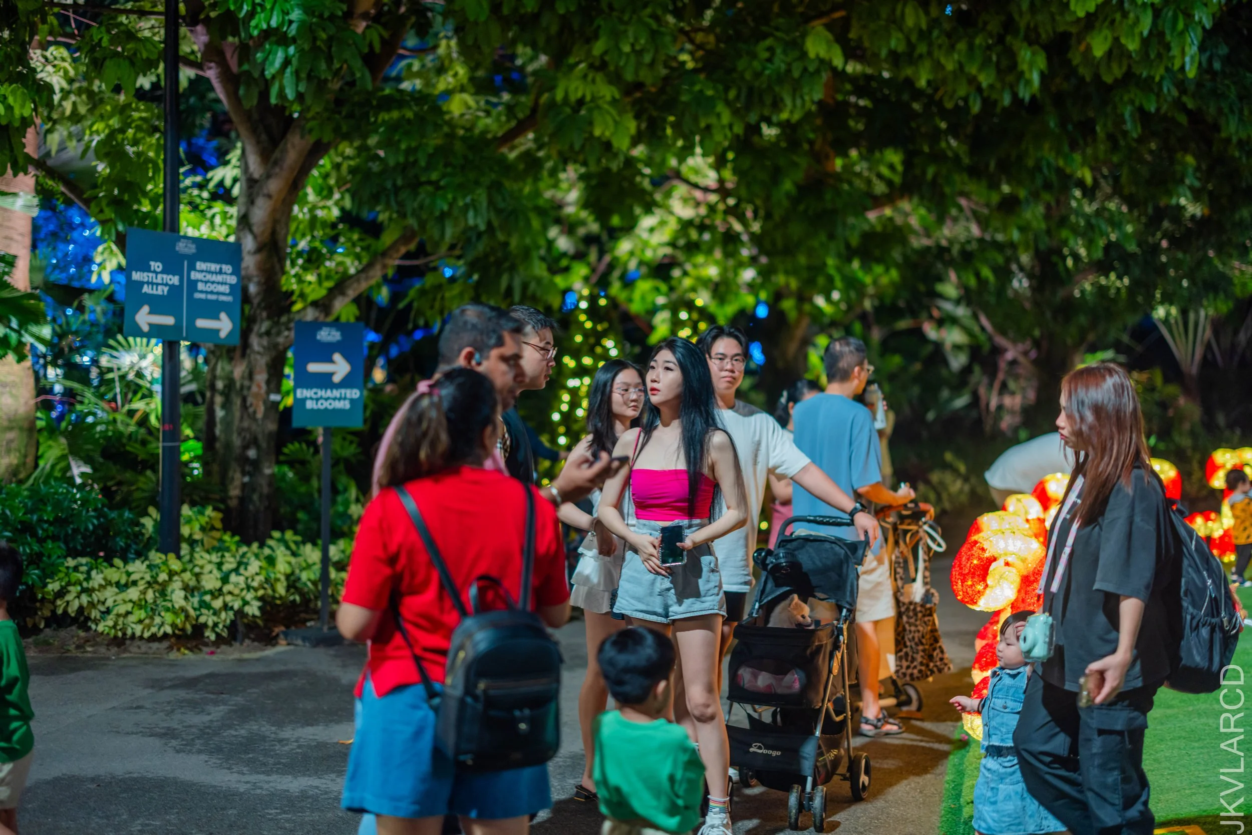 EOS R5_2025_12_19_0038.jpg