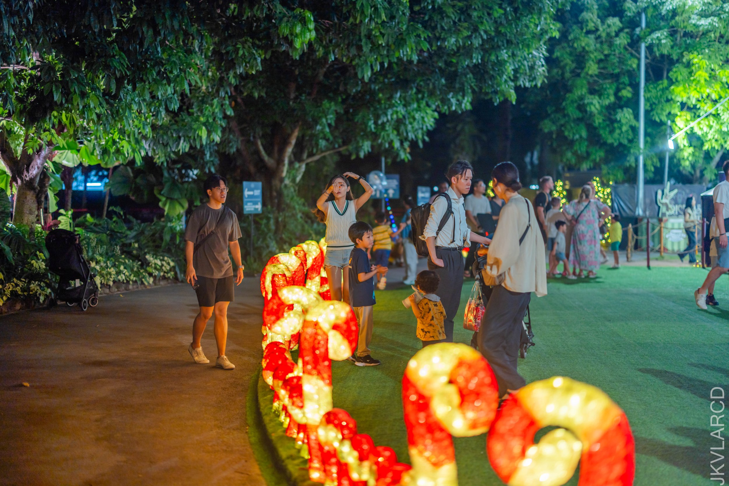 EOS R5_2025_12_19_0040.jpg