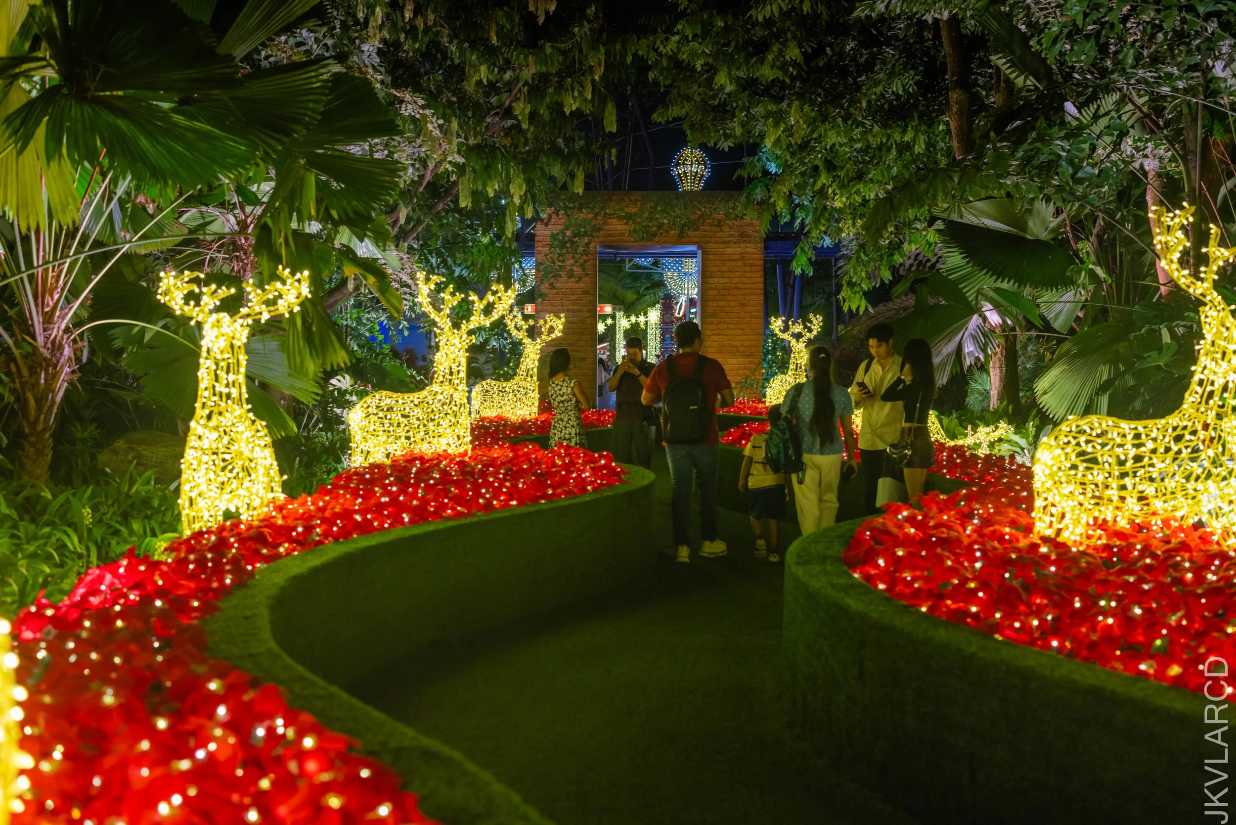 EOS R5_2025_12_19_0041.jpg