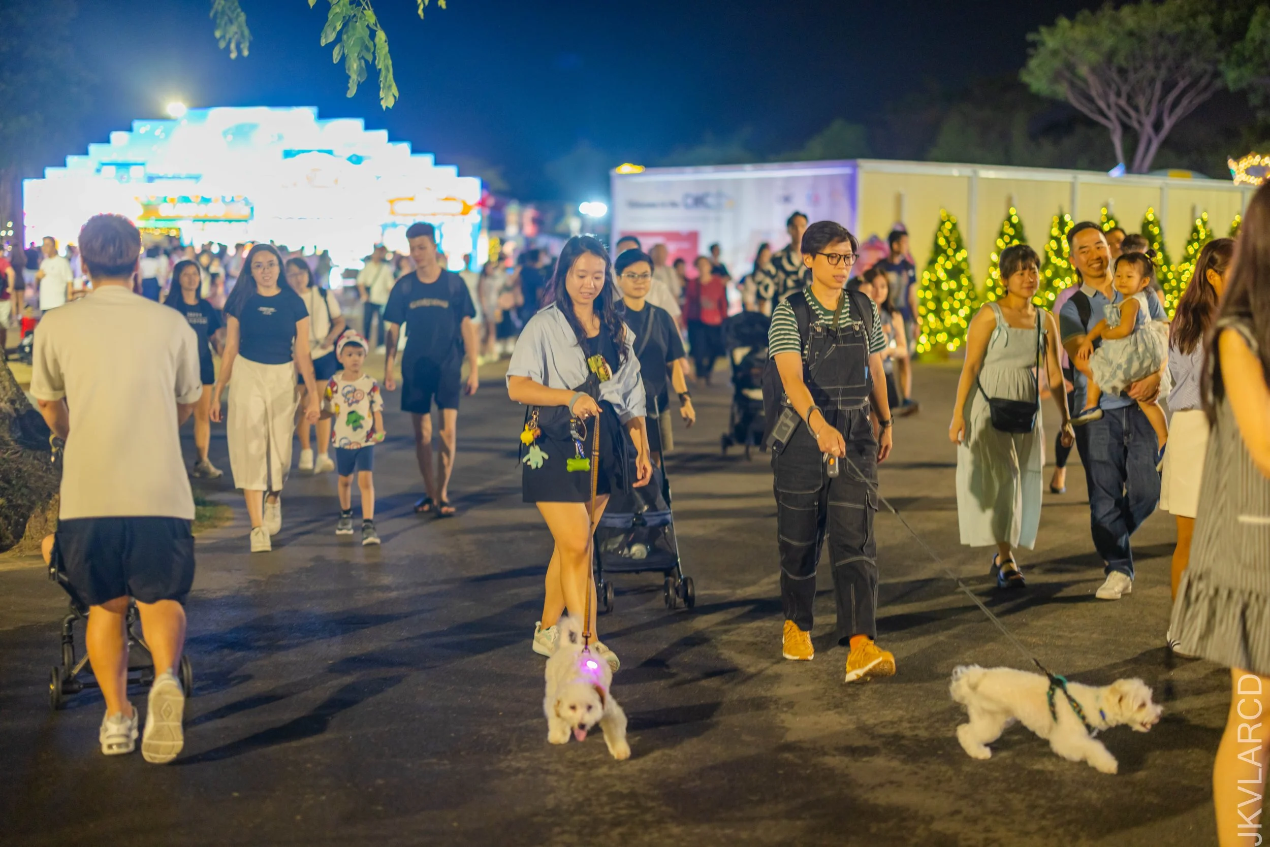 EOS R5_2025_12_19_0047.jpg