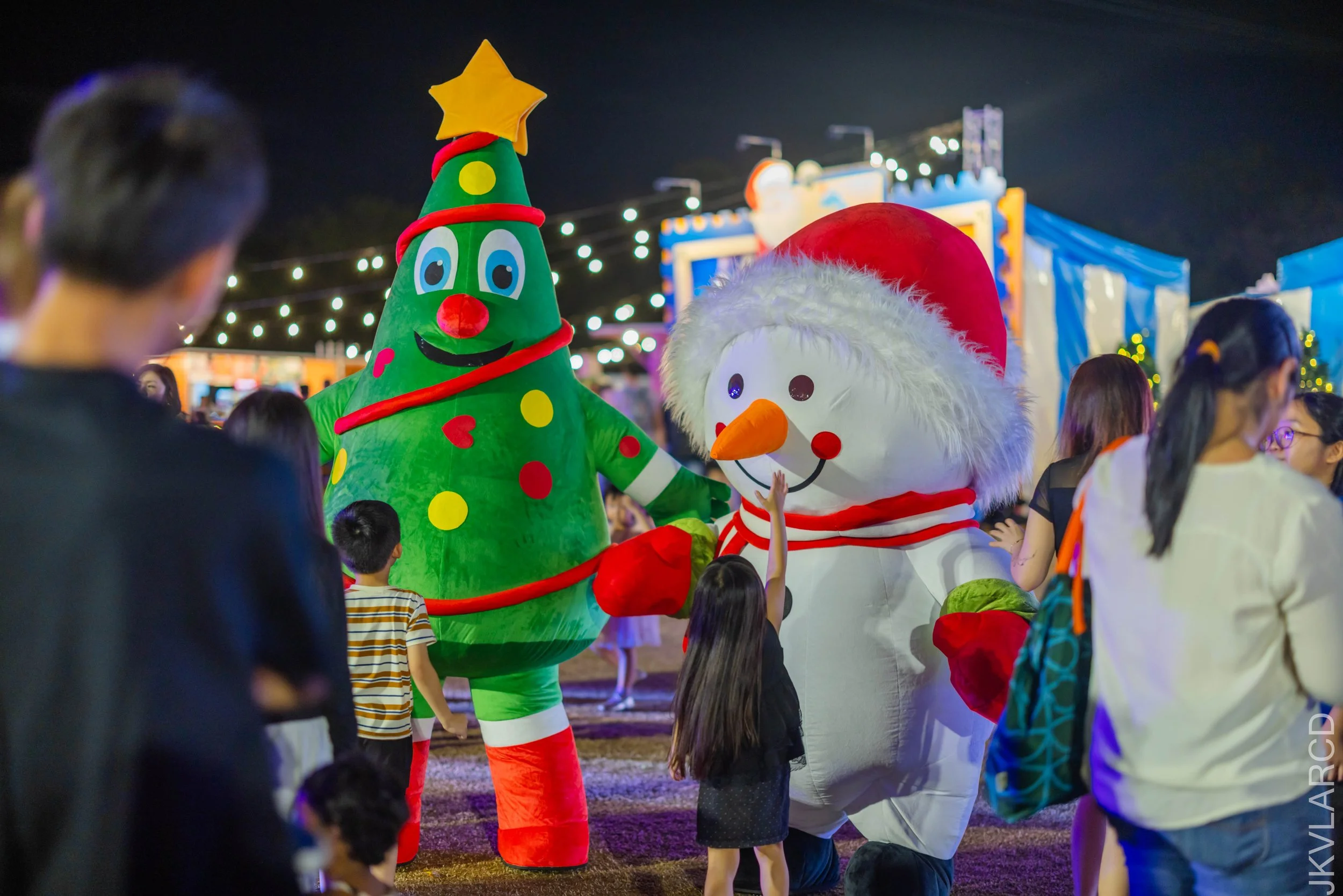 EOS R5_2025_12_19_0050.jpg