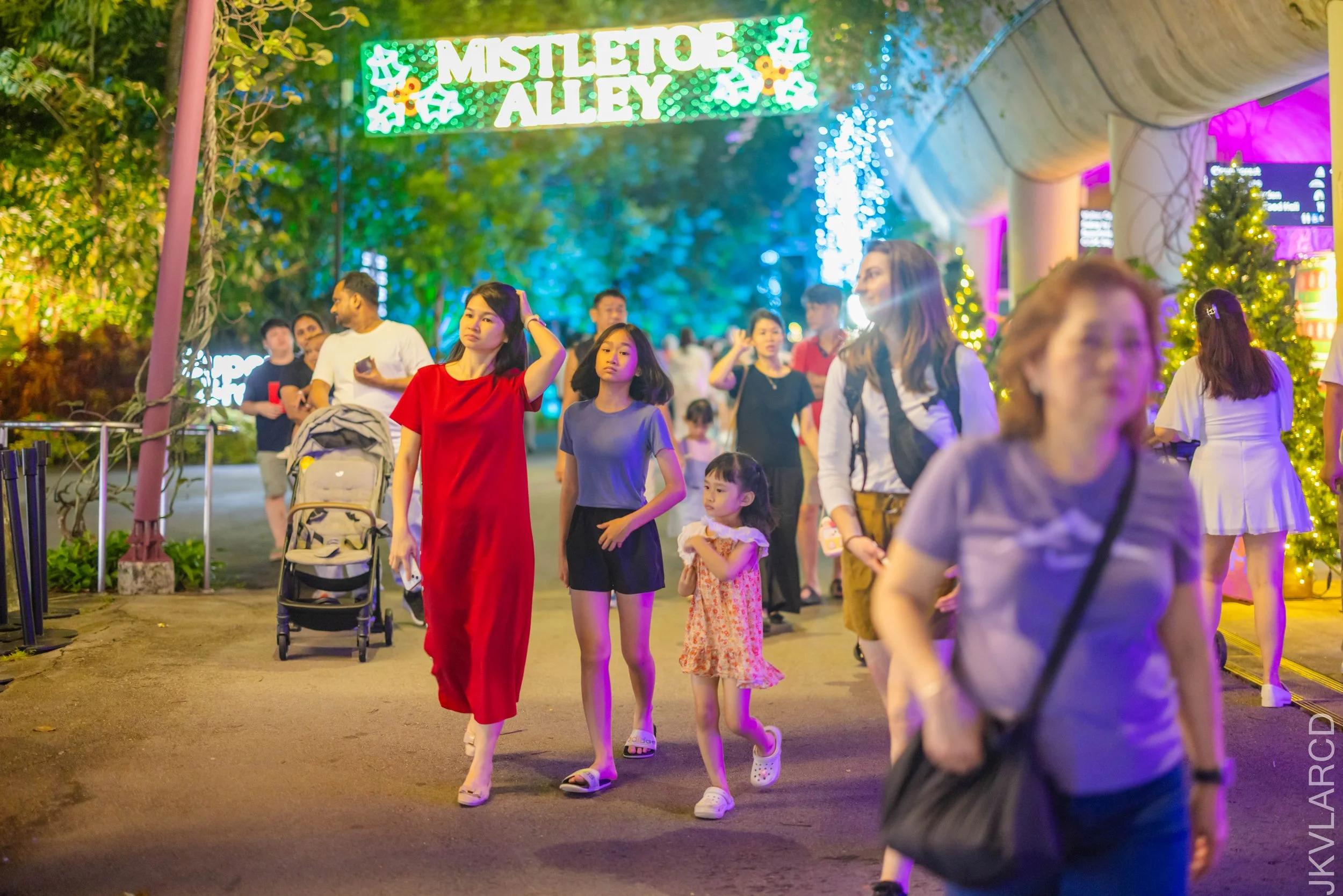 EOS R5_2025_12_19_0058.jpg