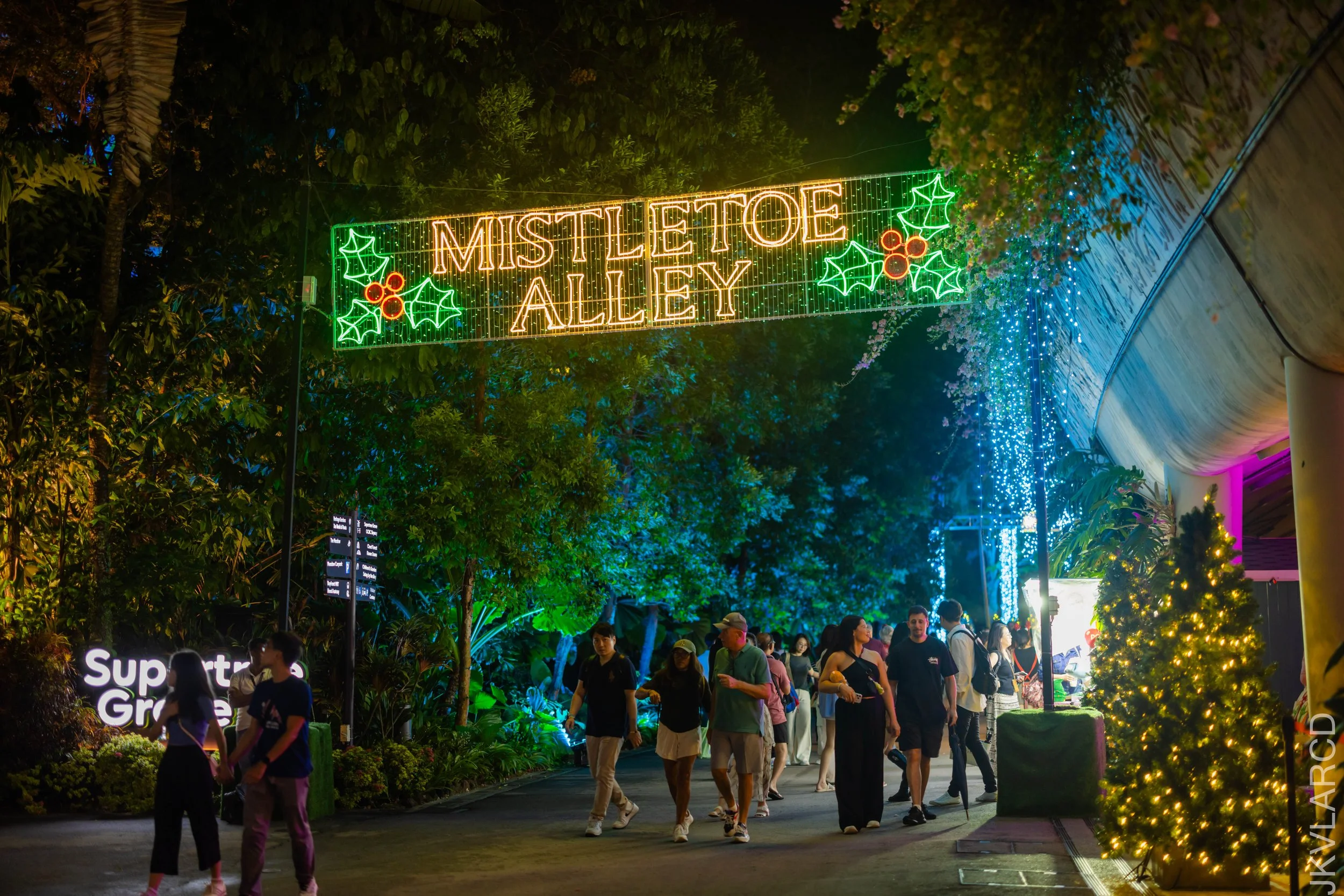 EOS R5_2025_12_19_0059.jpg