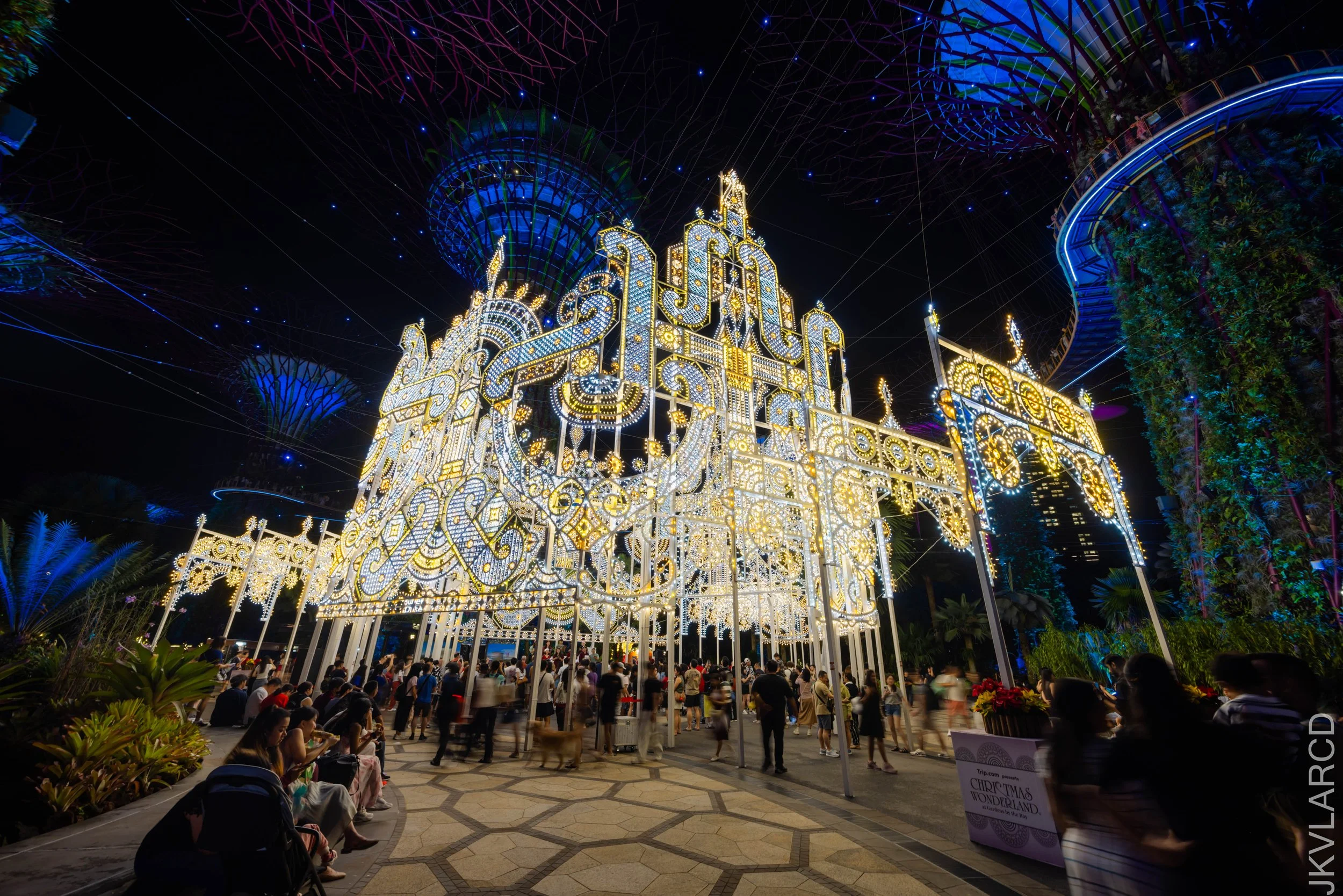 EOS R5_2025_12_19_0067.jpg