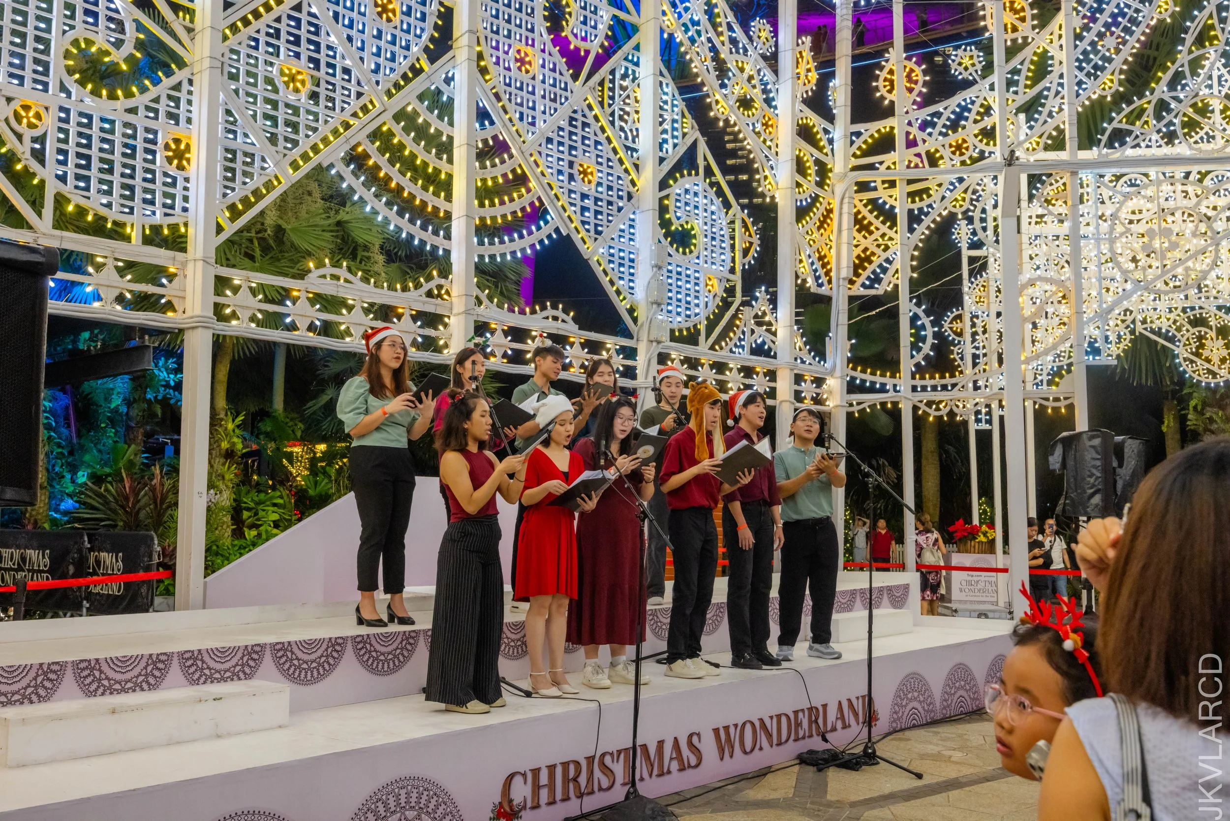 EOS R5_2025_12_19_0072.jpg