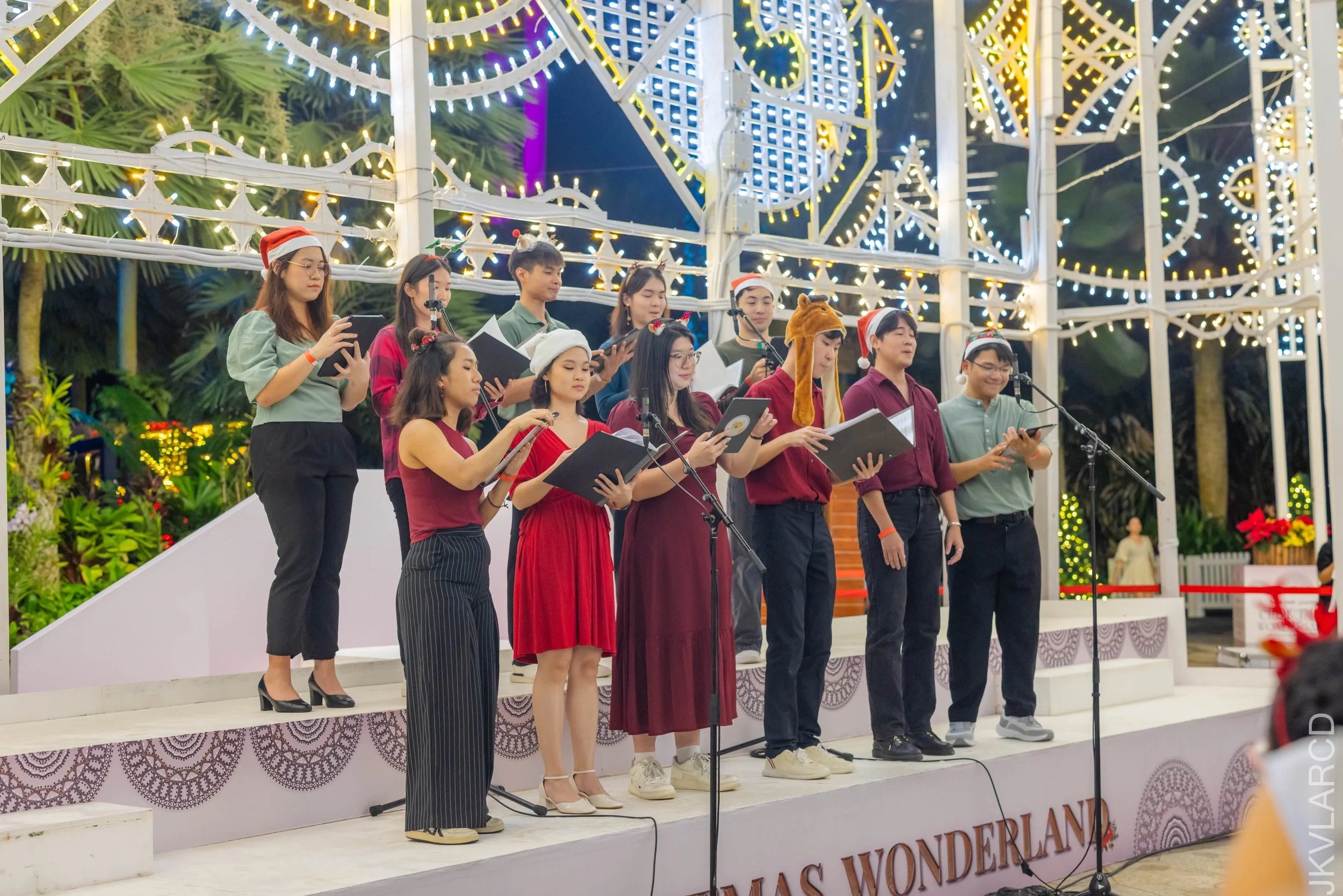 EOS R5_2025_12_19_0074.jpg