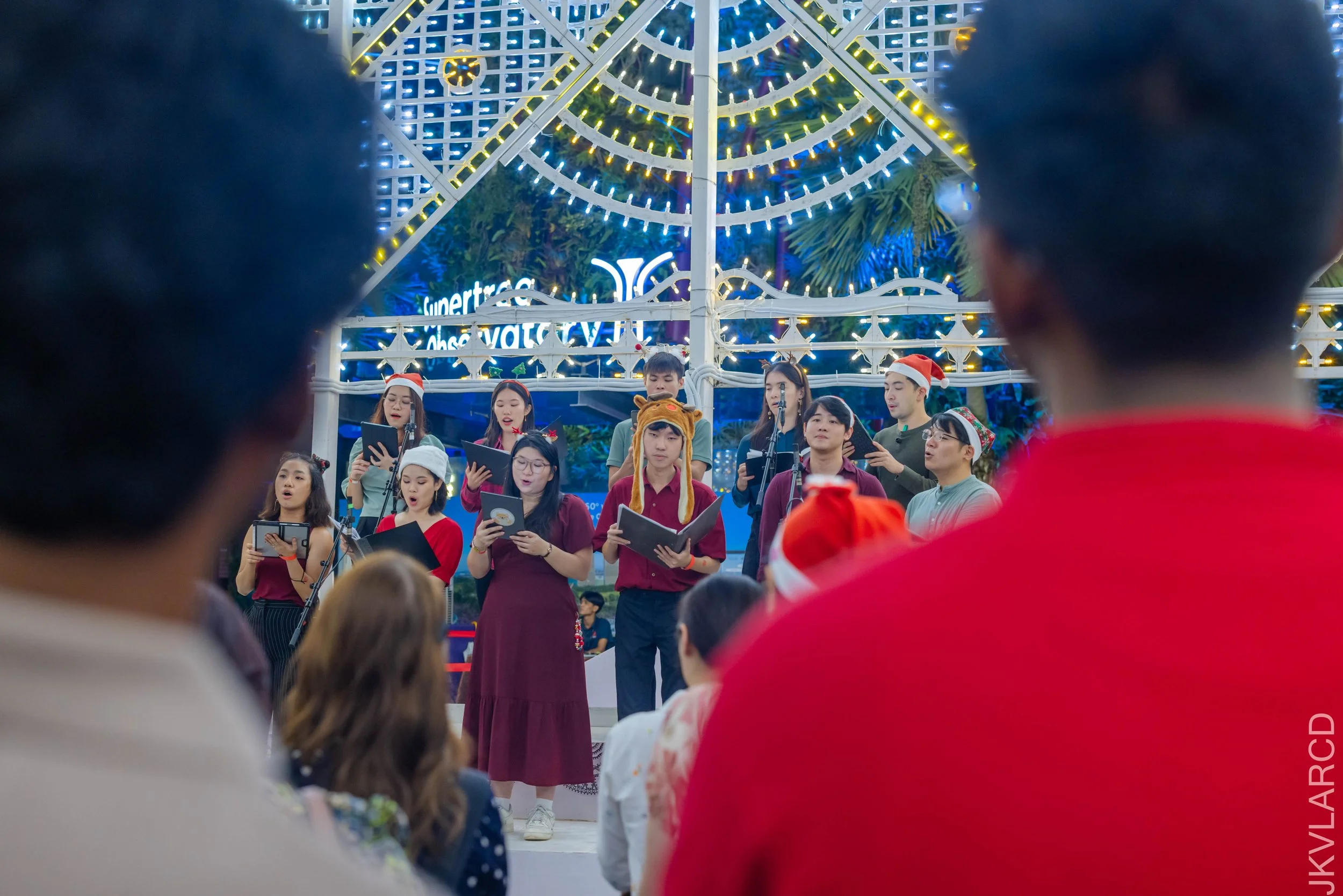 EOS R5_2025_12_19_0076.jpg