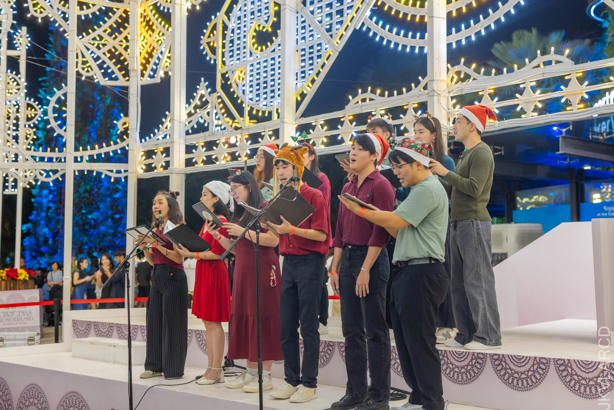 EOS R5_2025_12_19_0077.jpg