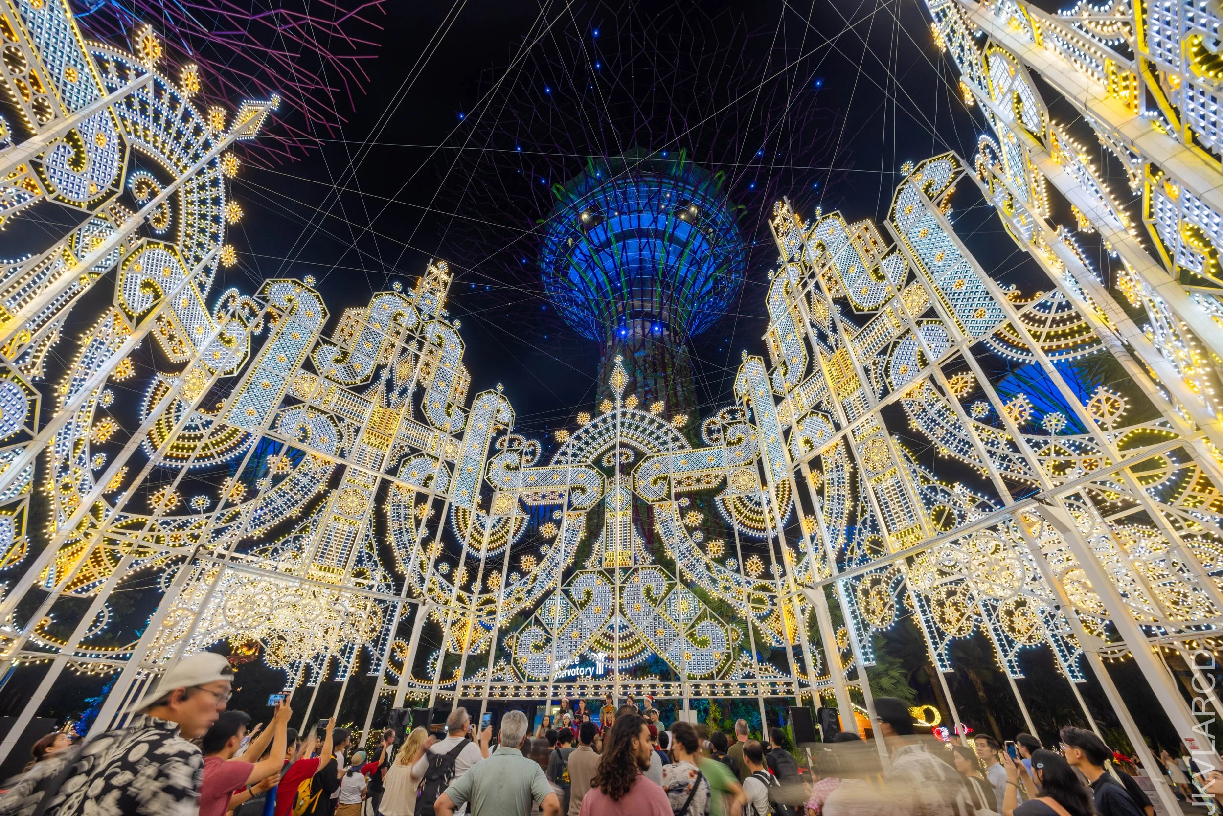 EOS R5_2025_12_19_0080.jpg