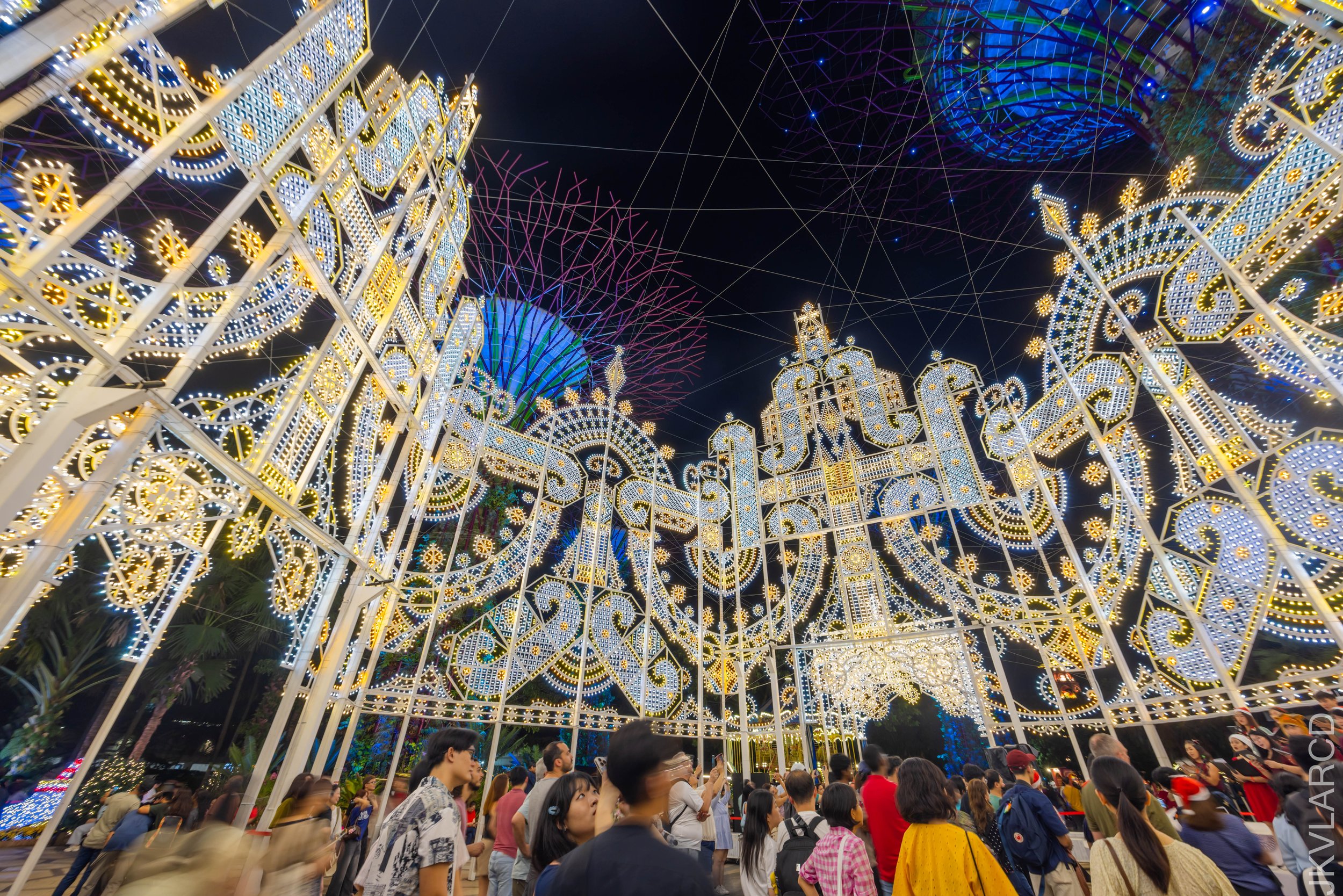 EOS R5_2025_12_19_0081.jpg