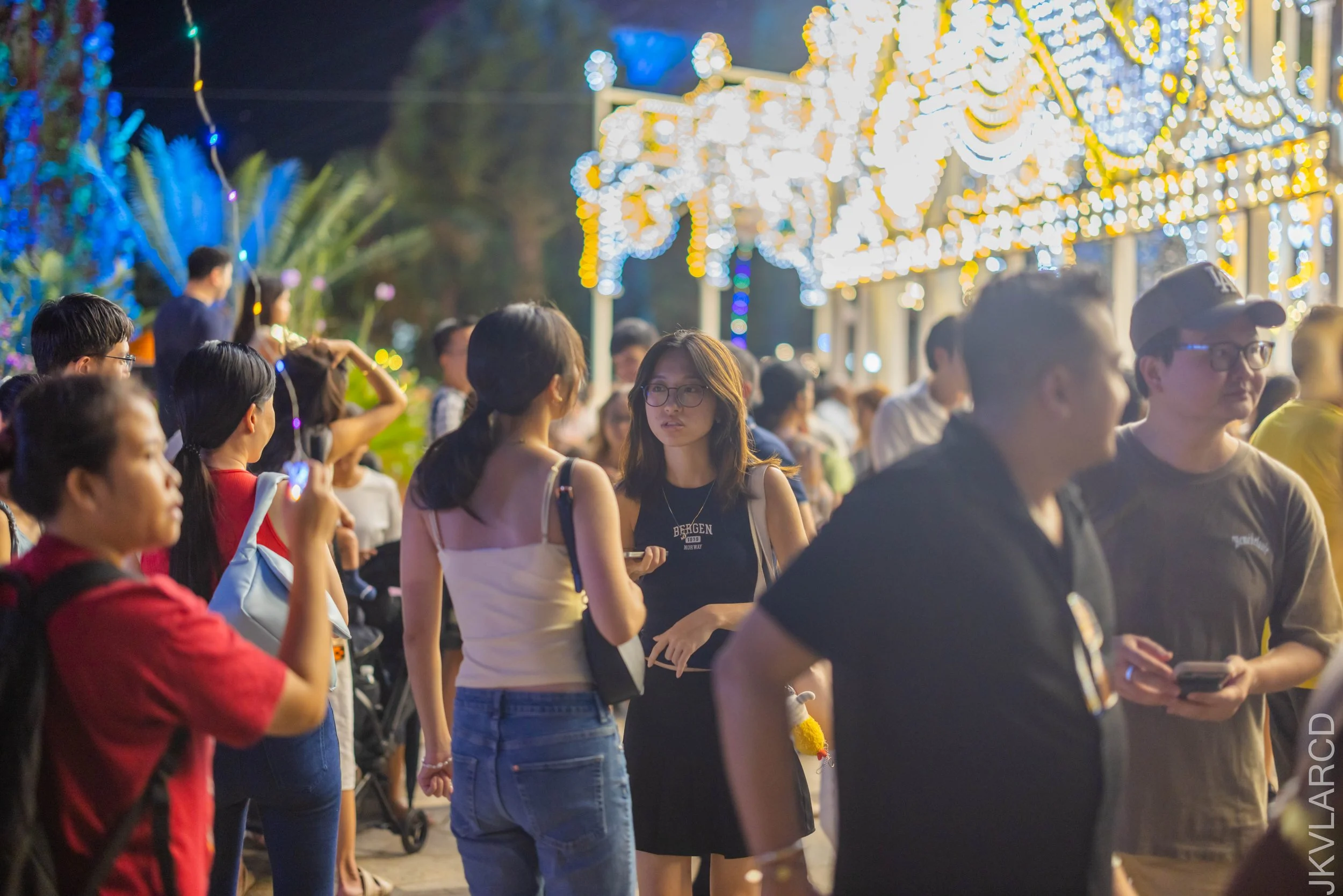 EOS R5_2025_12_19_0100.jpg