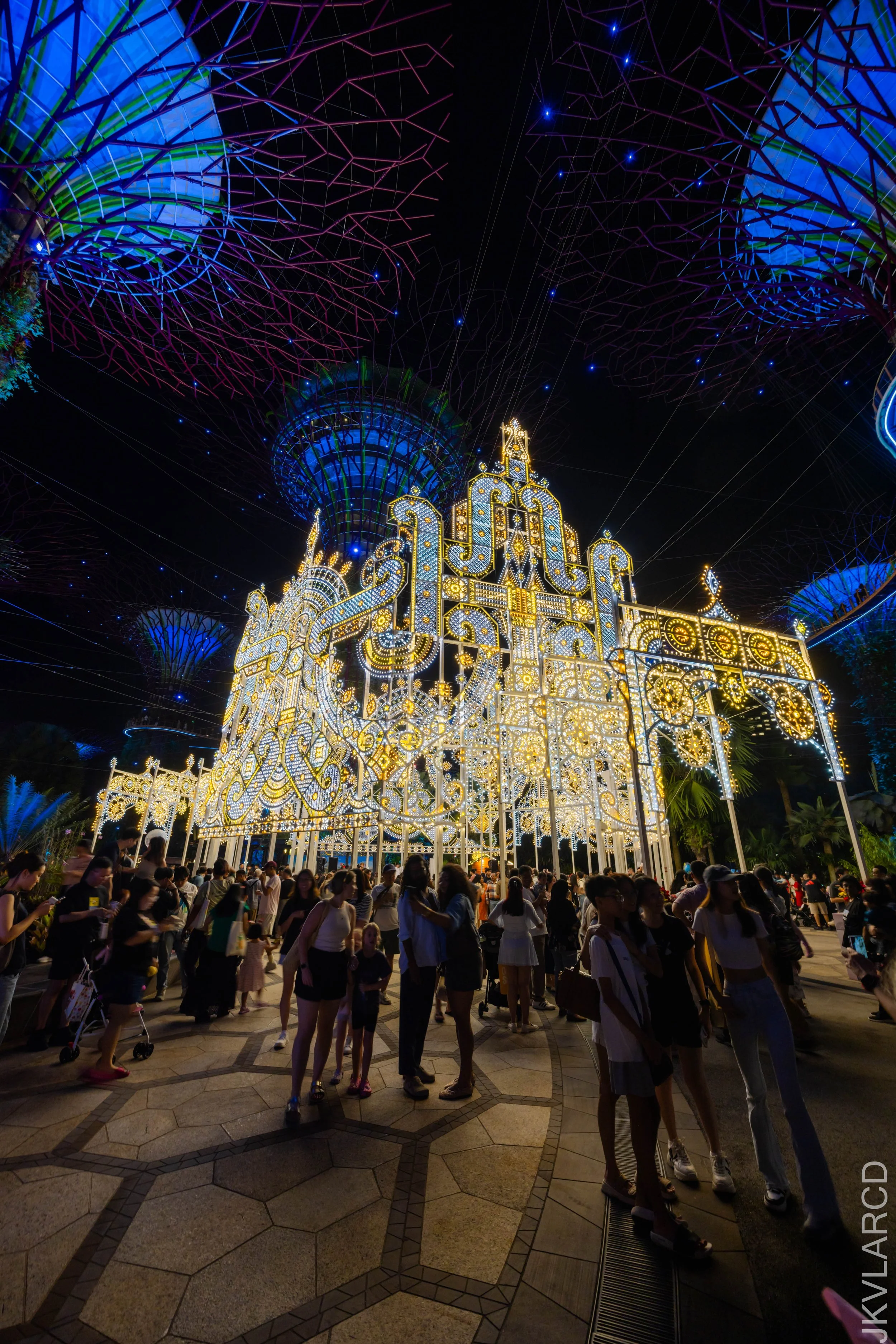 EOS R5_2025_12_19_0103.jpg