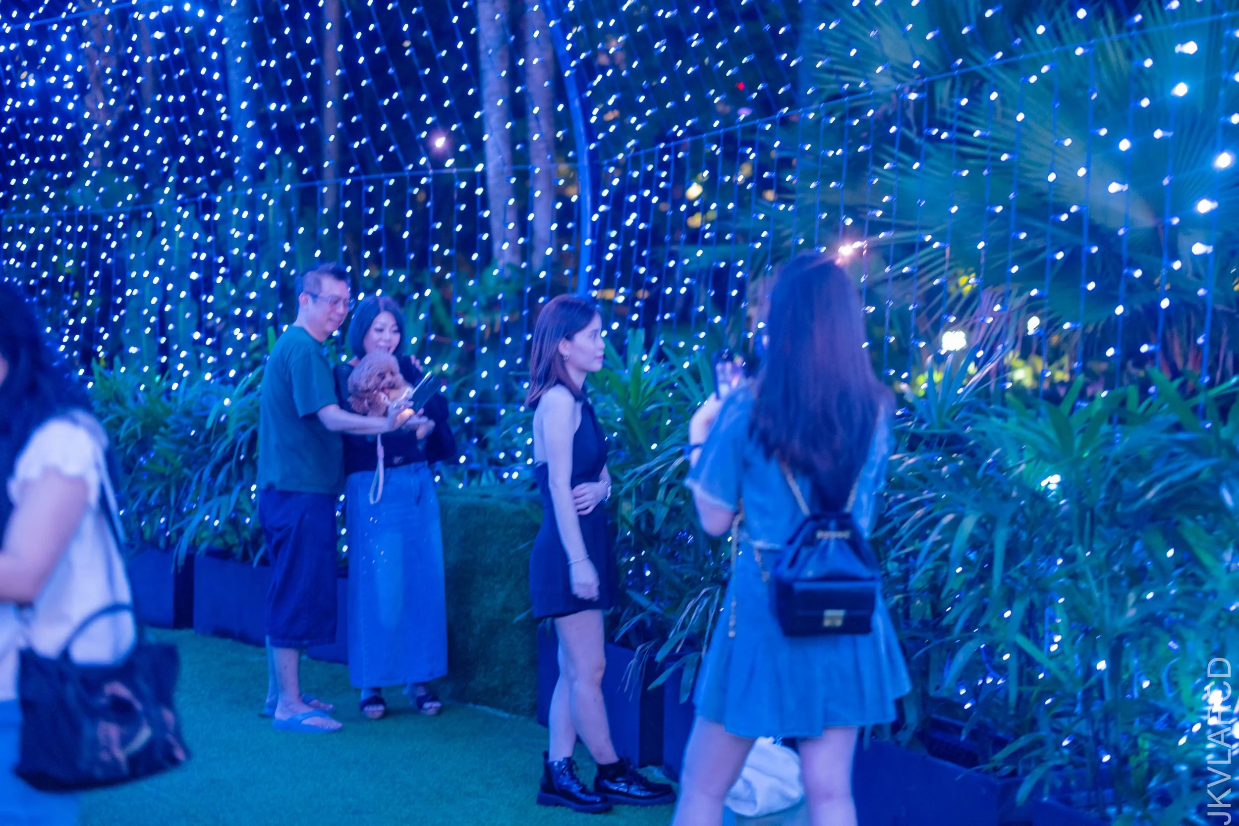 EOS R5_2025_12_19_0106.jpg