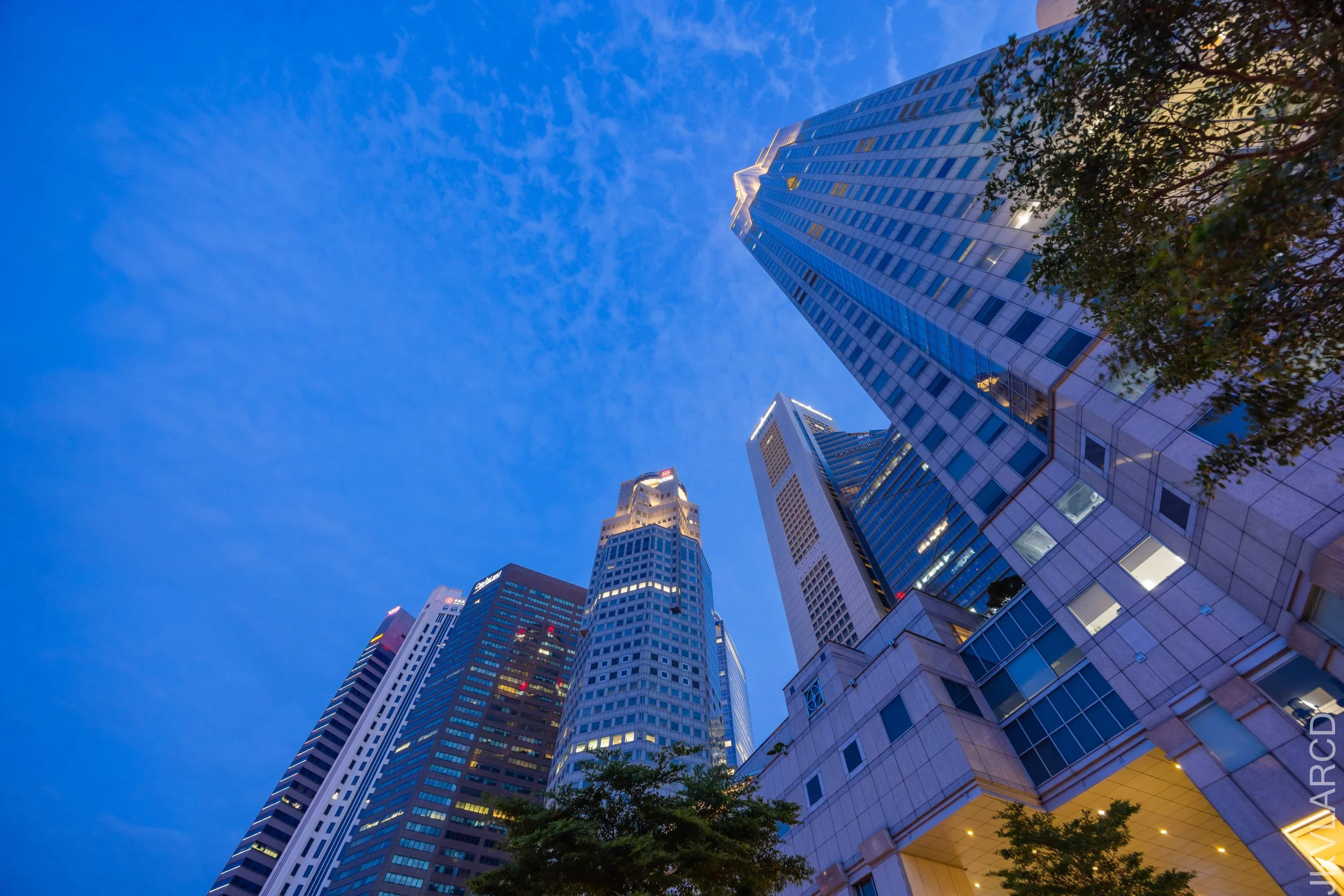 EOS R5_2026_01_17_0005.jpg