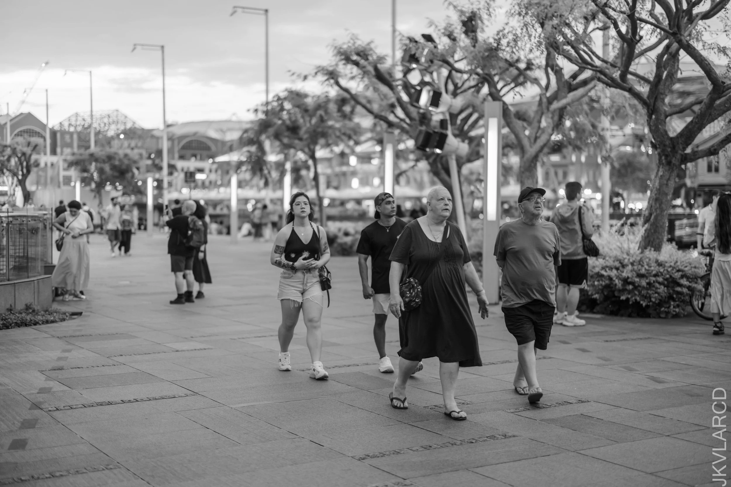 EOS R5_2026_01_24_0004.jpg