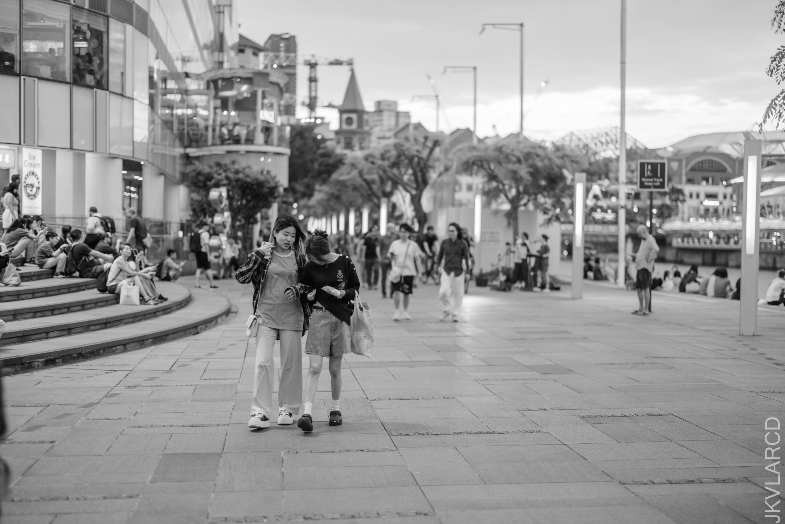 EOS R5_2026_01_24_0008.jpg