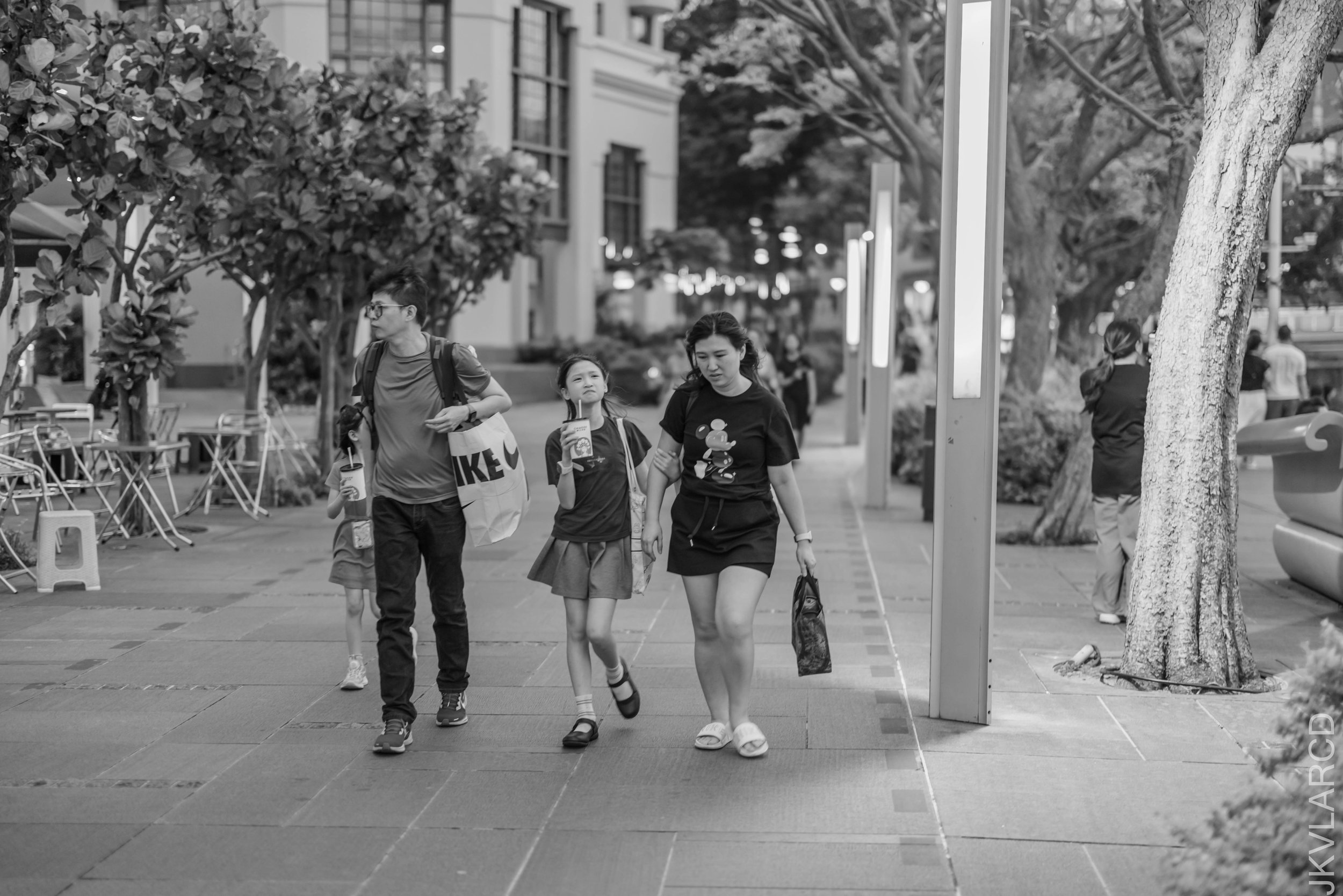 EOS R5_2026_01_24_0023.jpg