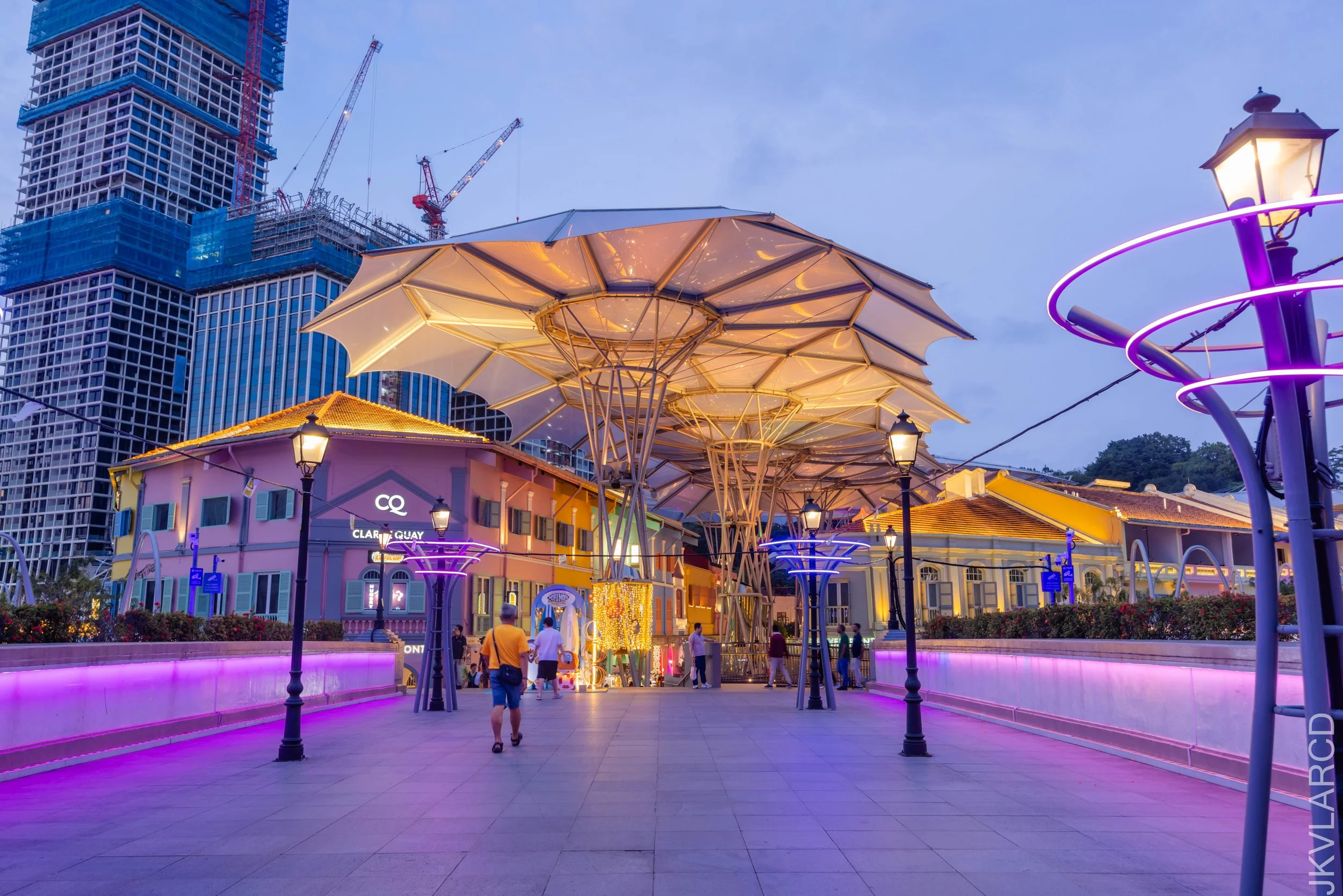 EOS R5_2026_01_24_0037.jpg