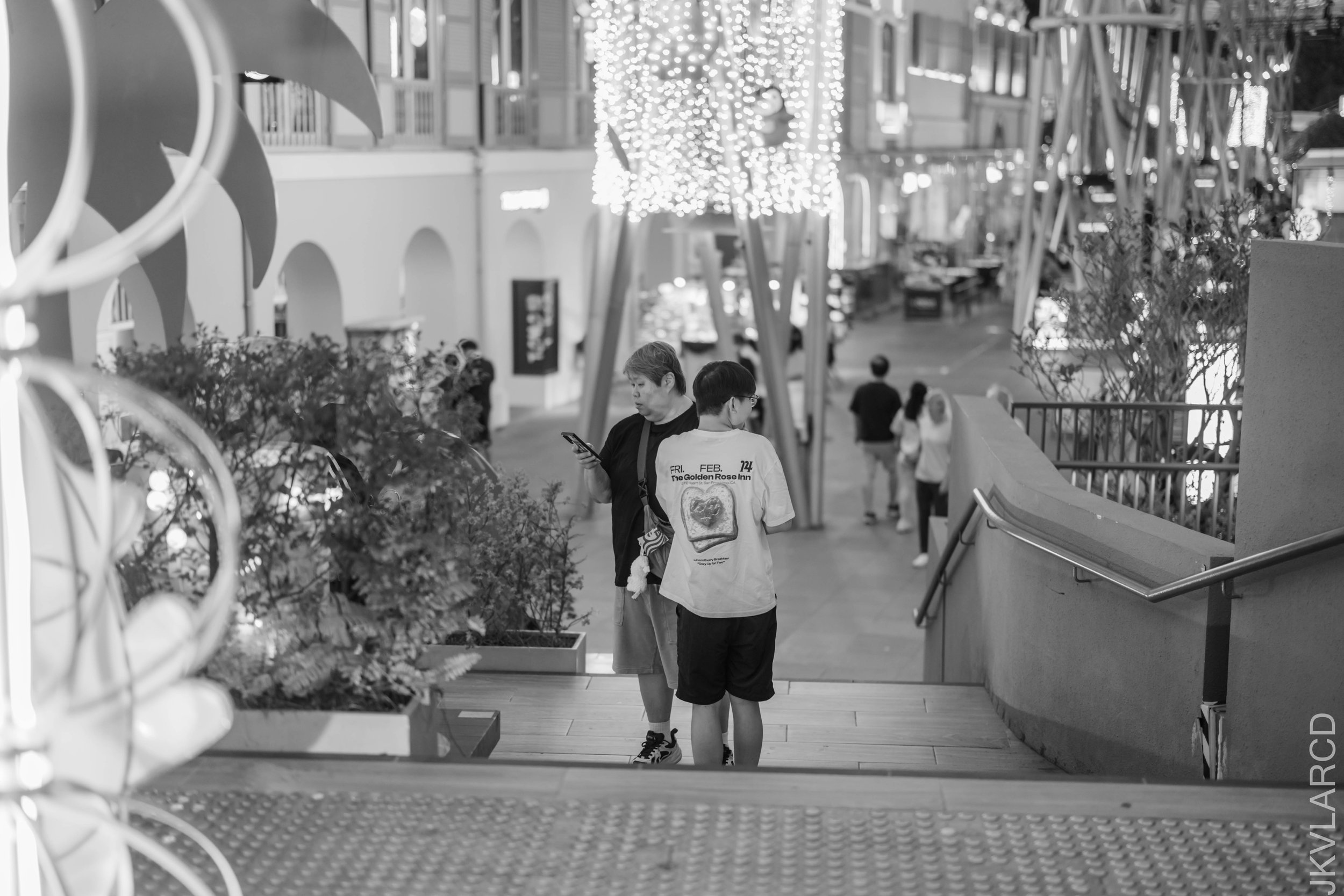 EOS R5_2026_01_24_0041.jpg