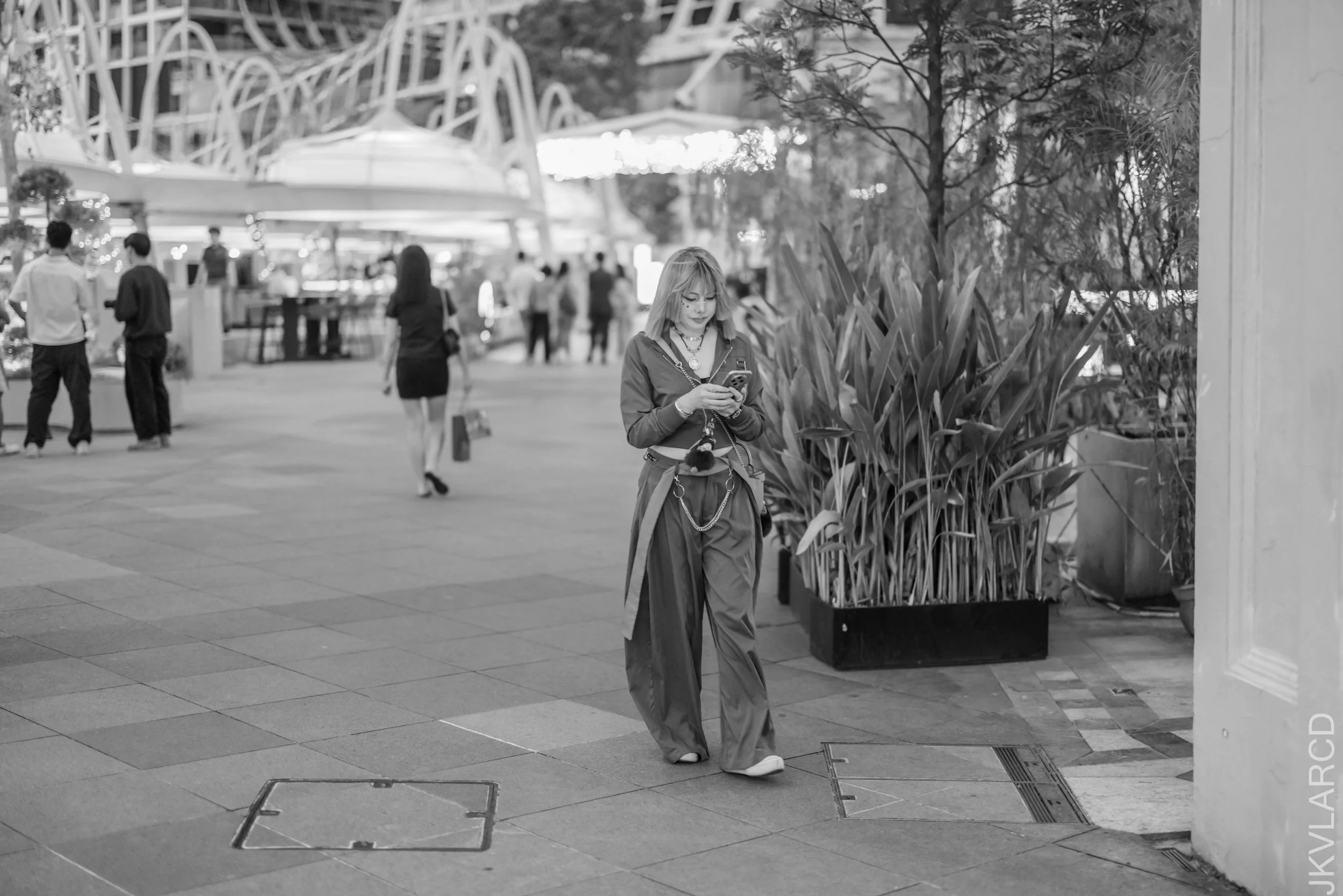 EOS R5_2026_01_24_0048.jpg