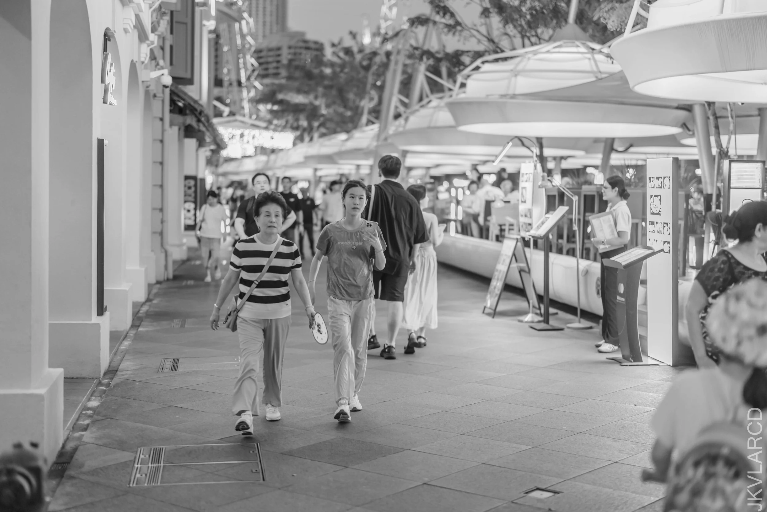 EOS R5_2026_01_24_0049.jpg