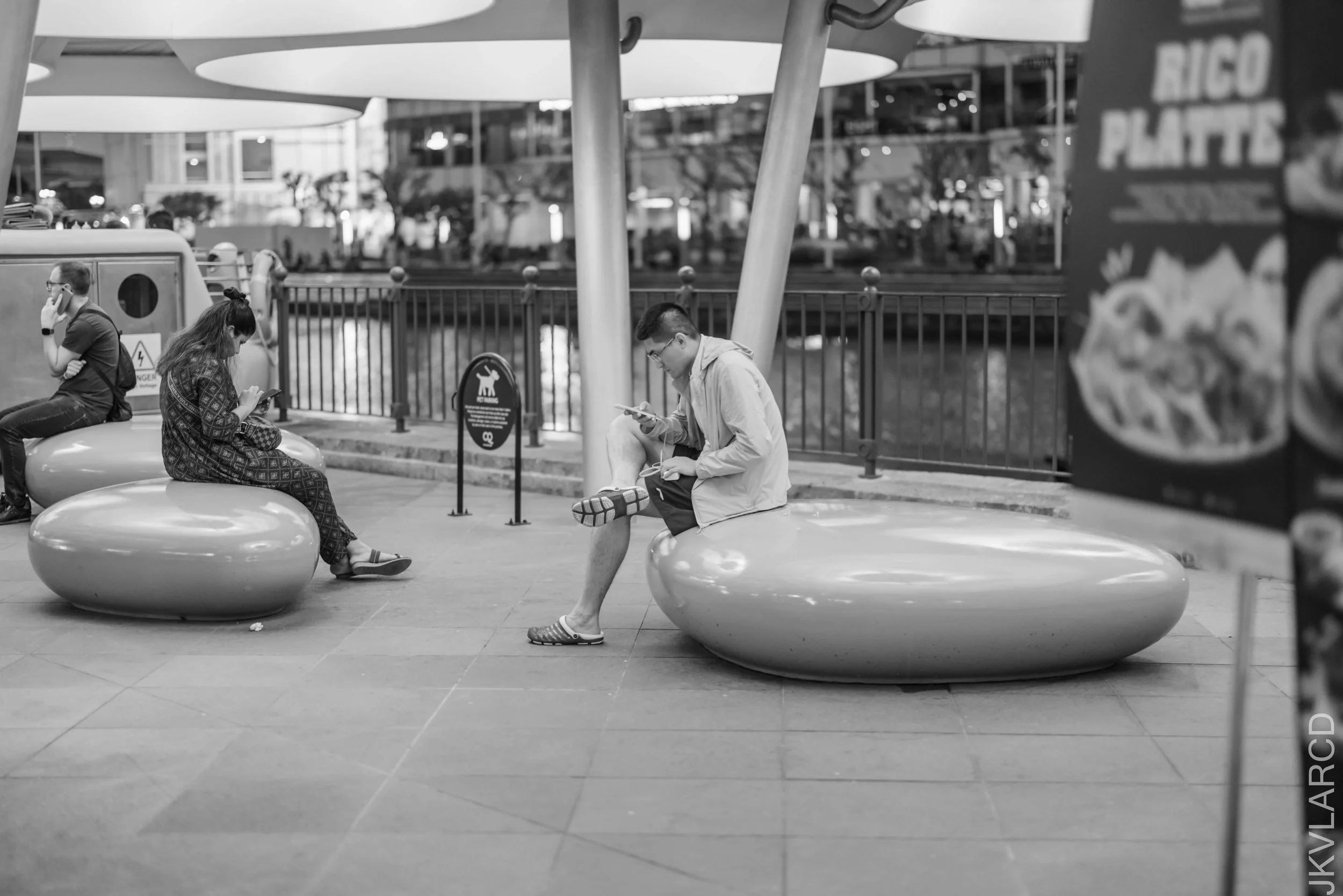 EOS R5_2026_01_24_0053.jpg