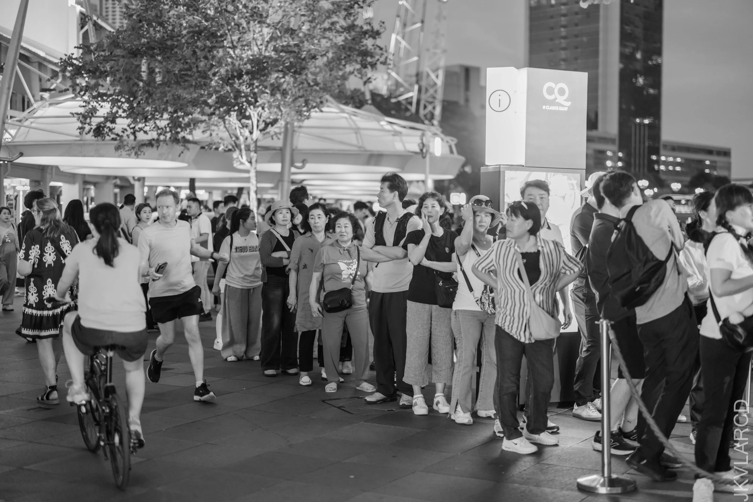 EOS R5_2026_01_24_0060.jpg