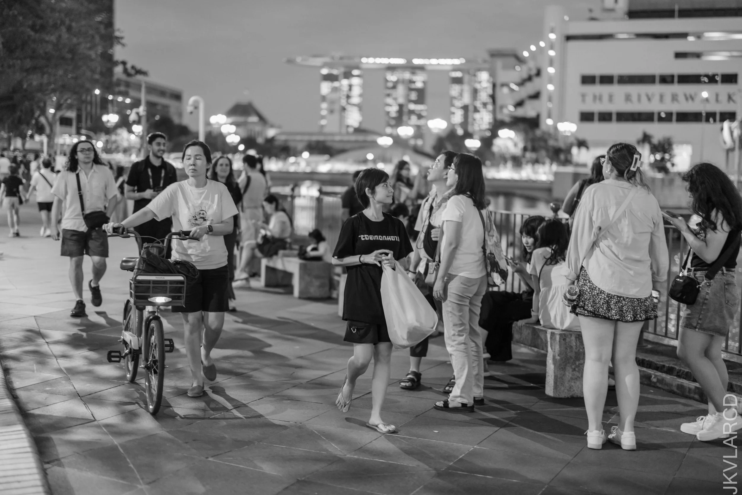 EOS R5_2026_01_24_0075.jpg