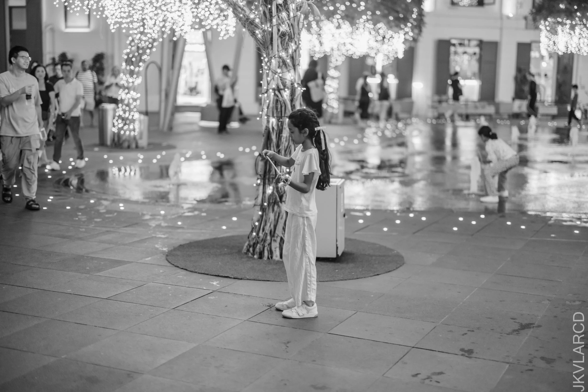 EOS R5_2026_01_24_0099.jpg