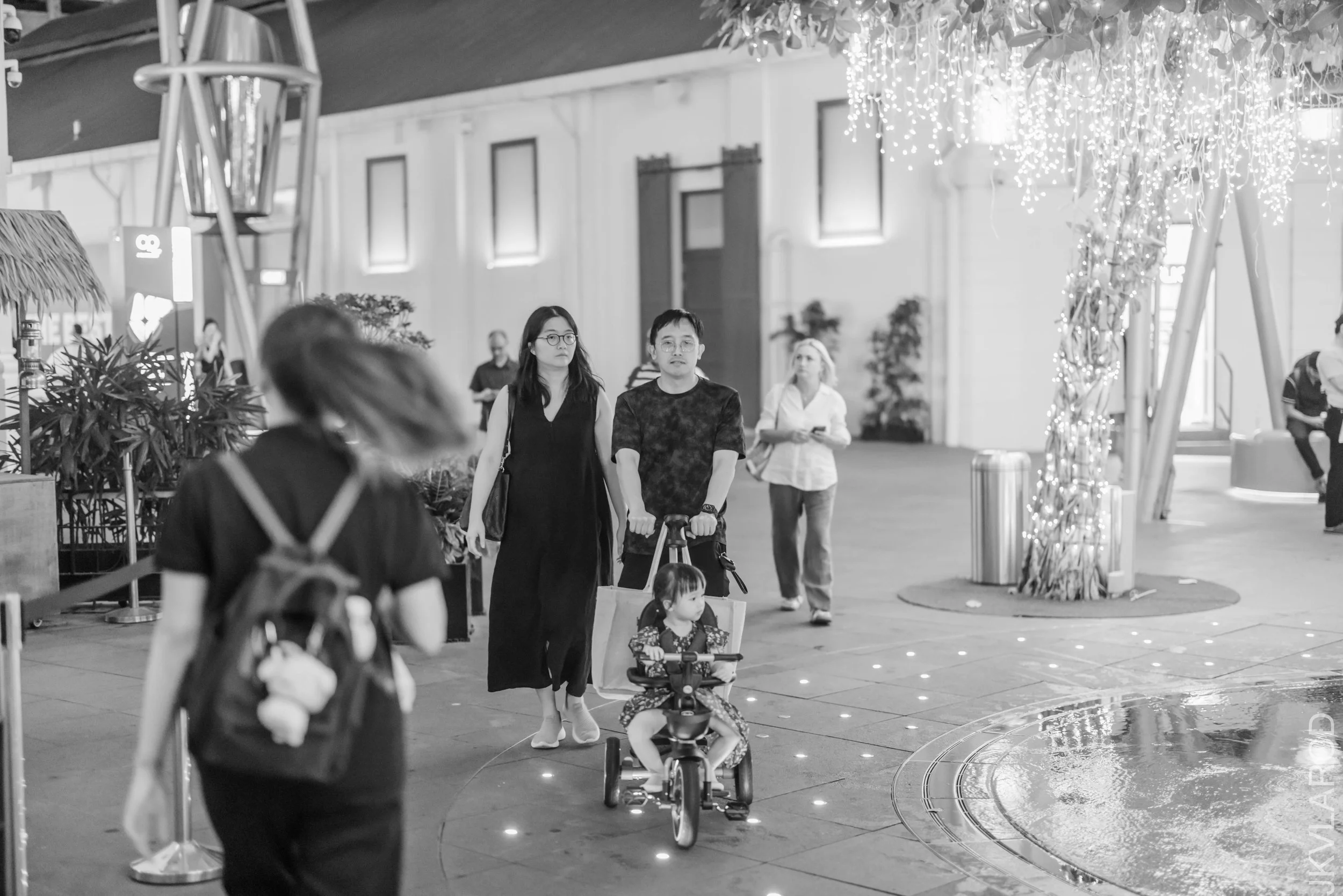 EOS R5_2026_01_24_0101.jpg